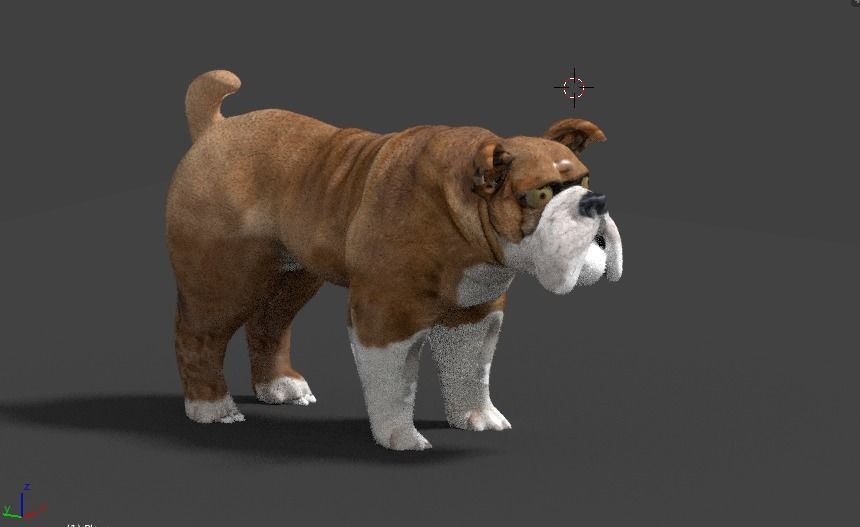 bulldog 3D model_5
