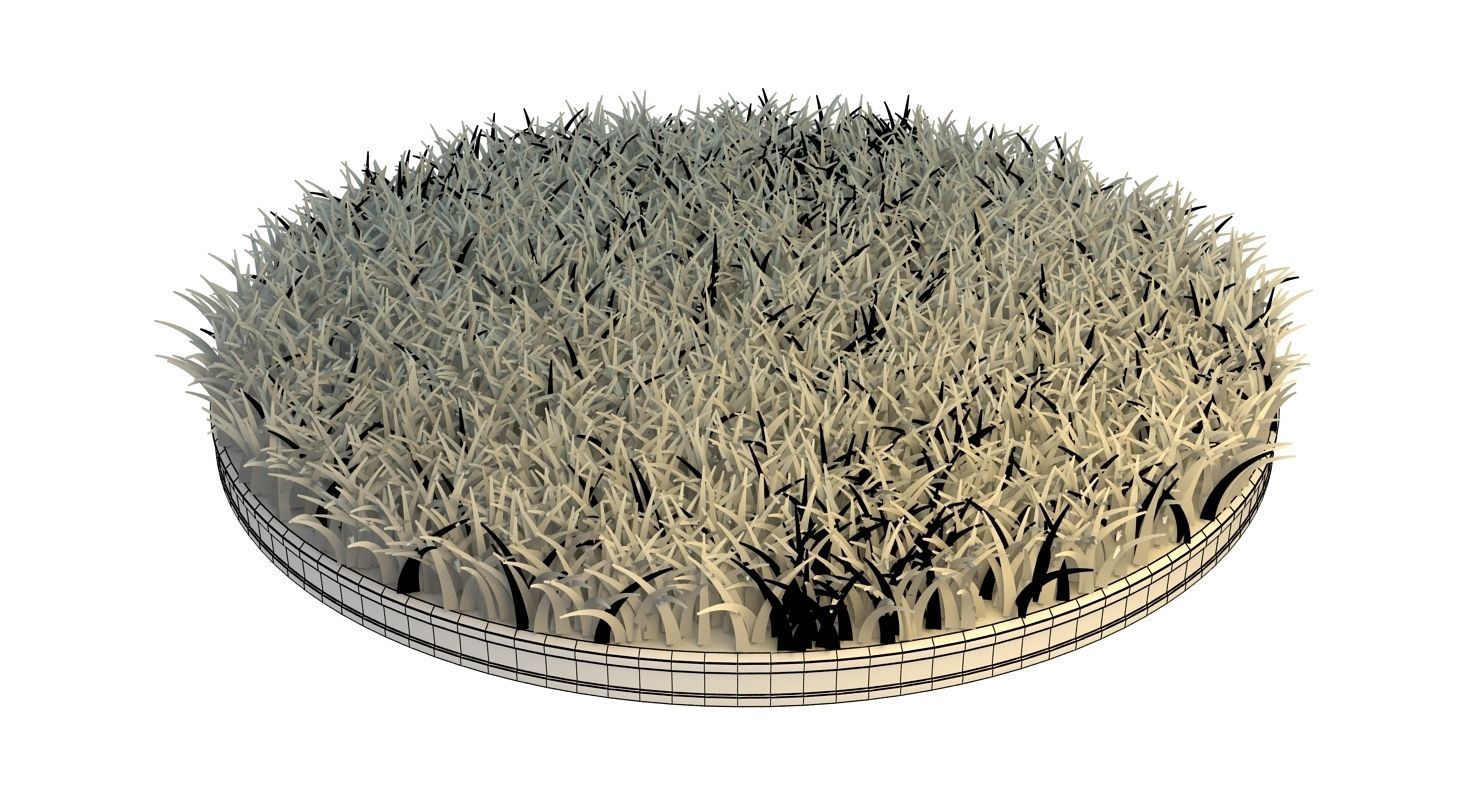 3d max grass plugin free download