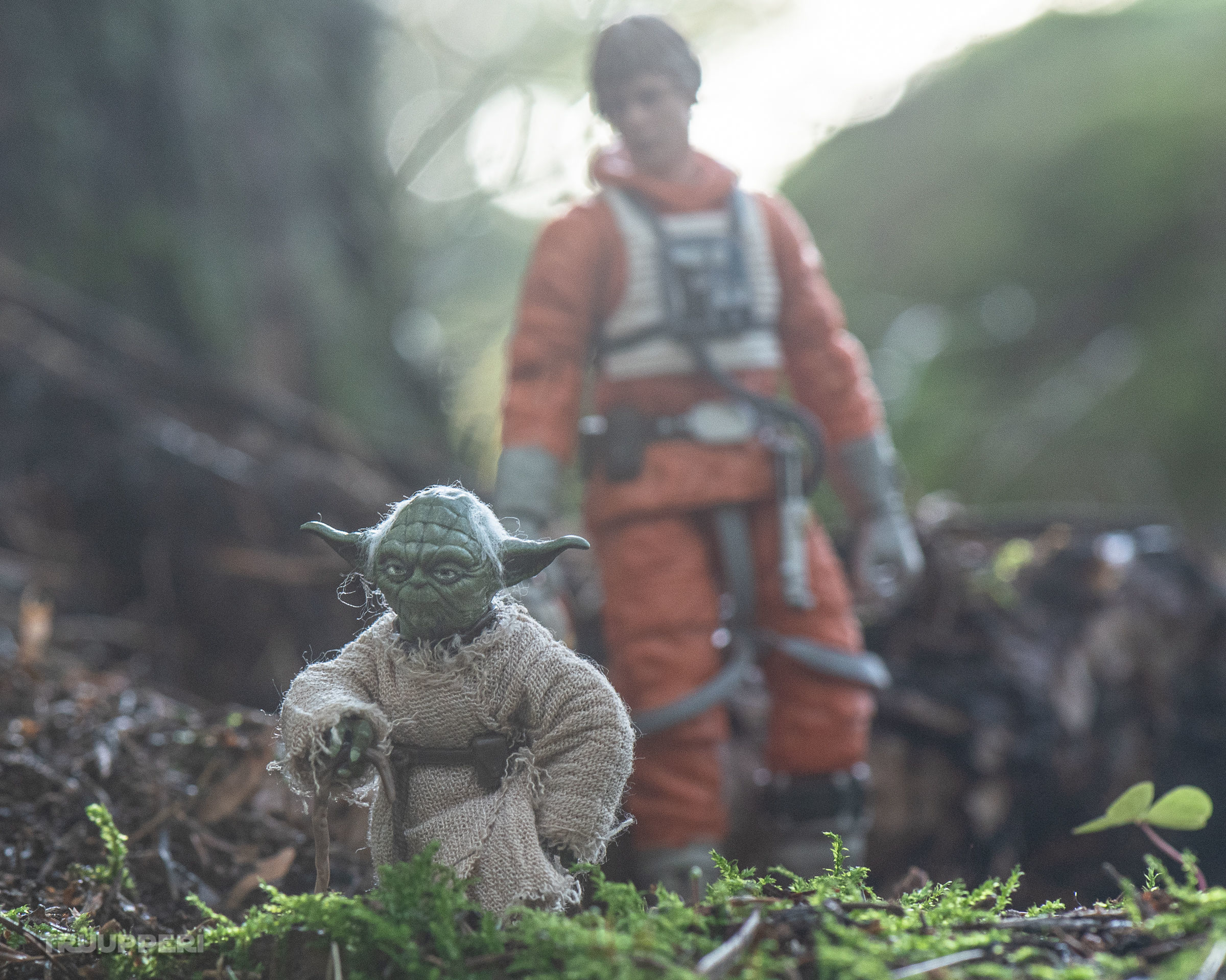 Yoda Head 3D print model_3