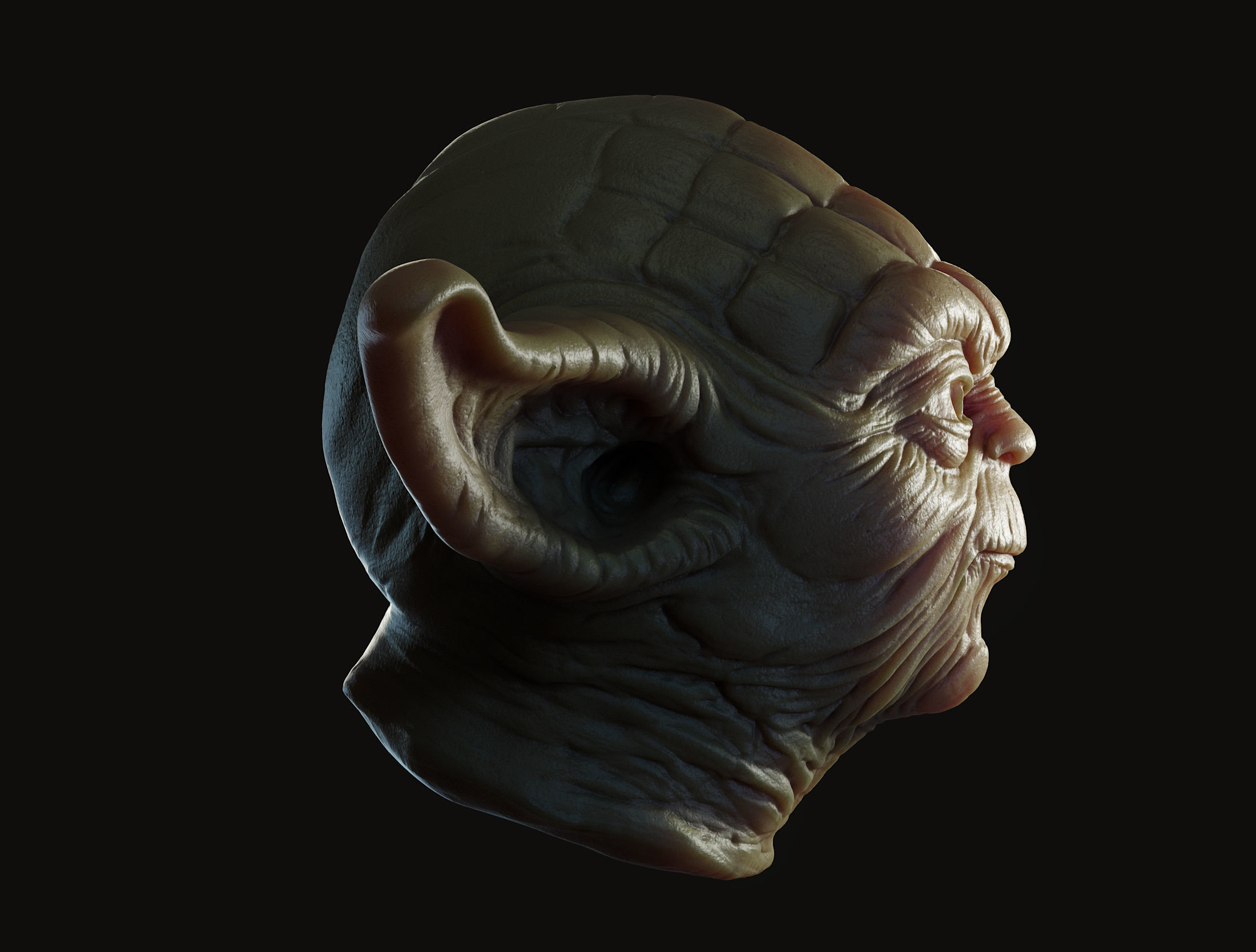 Yoda Head 3D print model_13