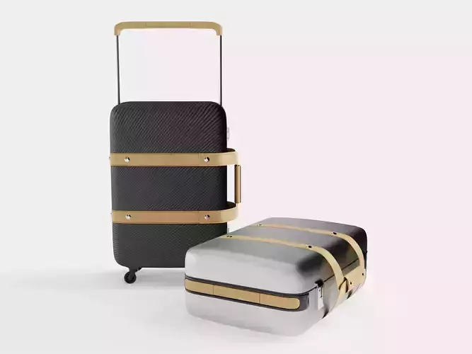 Hermes Orion suitcase