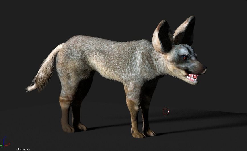 bat eared fox 3D model_13