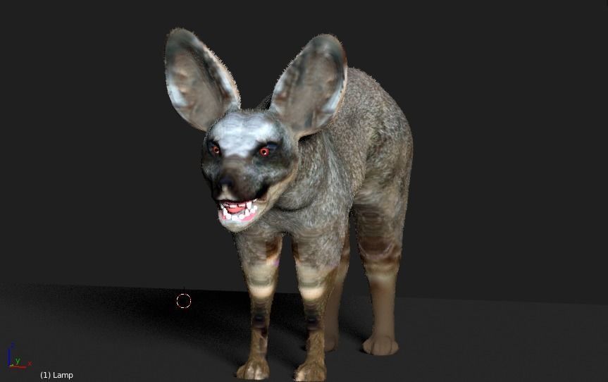 bat eared fox 3D model_2