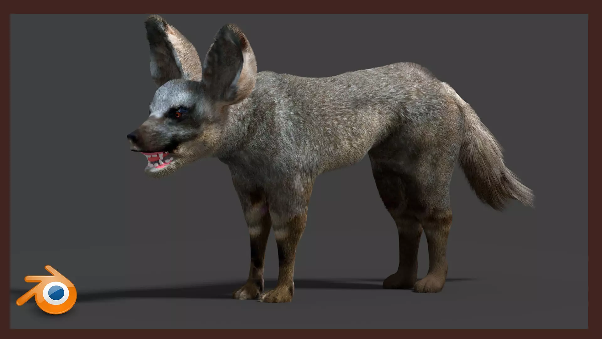 bat eared fox 3D model_0
