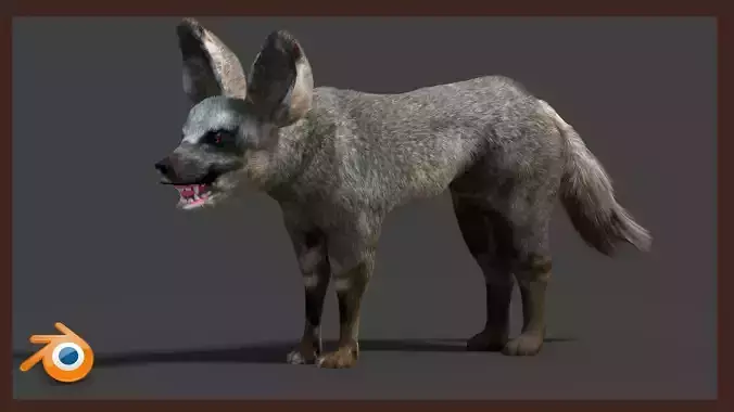 bat eared fox 3D model