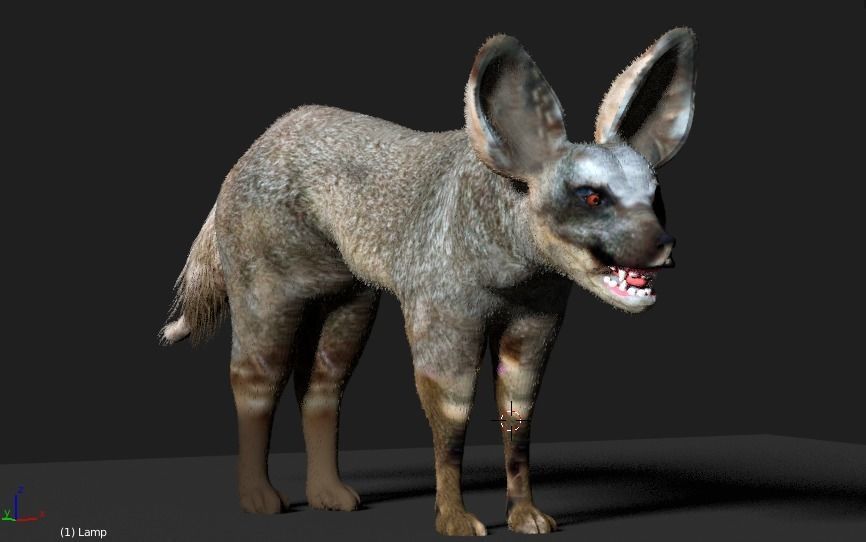 bat eared fox 3D model_7