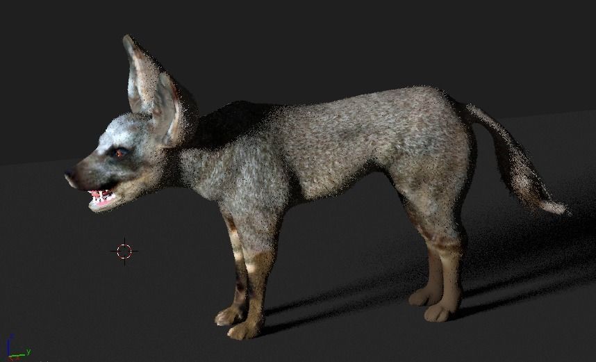 bat eared fox 3D model_12