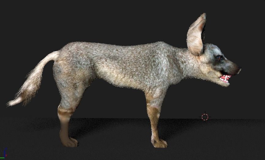 bat eared fox 3D model_14