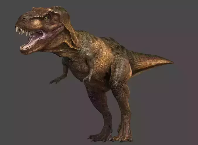 Tyrannosaurus  Rex 3D model