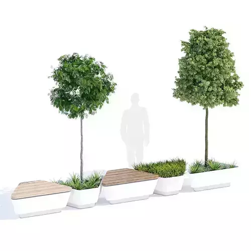 Austen planter with three trees in it