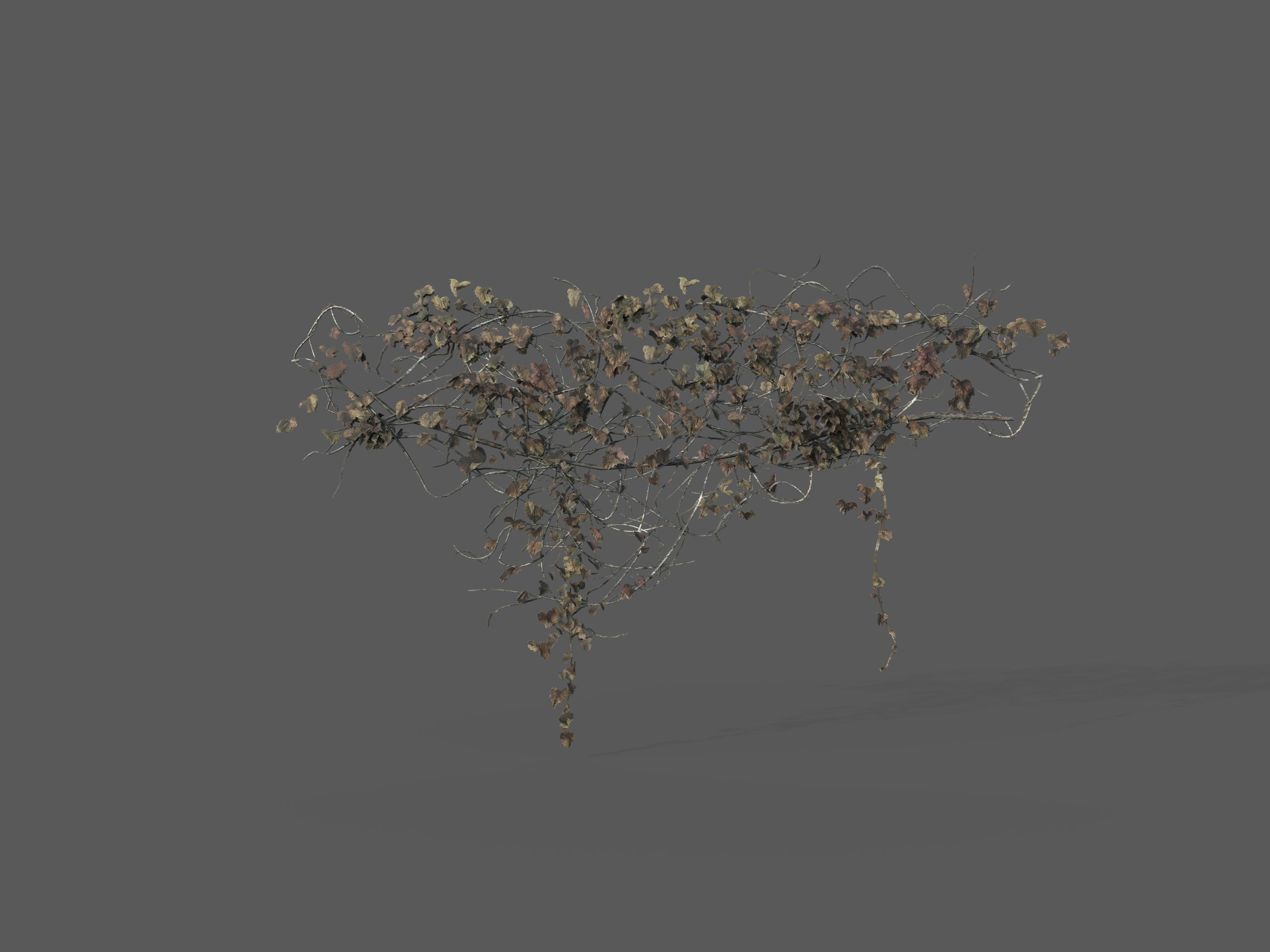 Nature Assets - Ivy Collection - Game Ready Low-poly 3D model_7