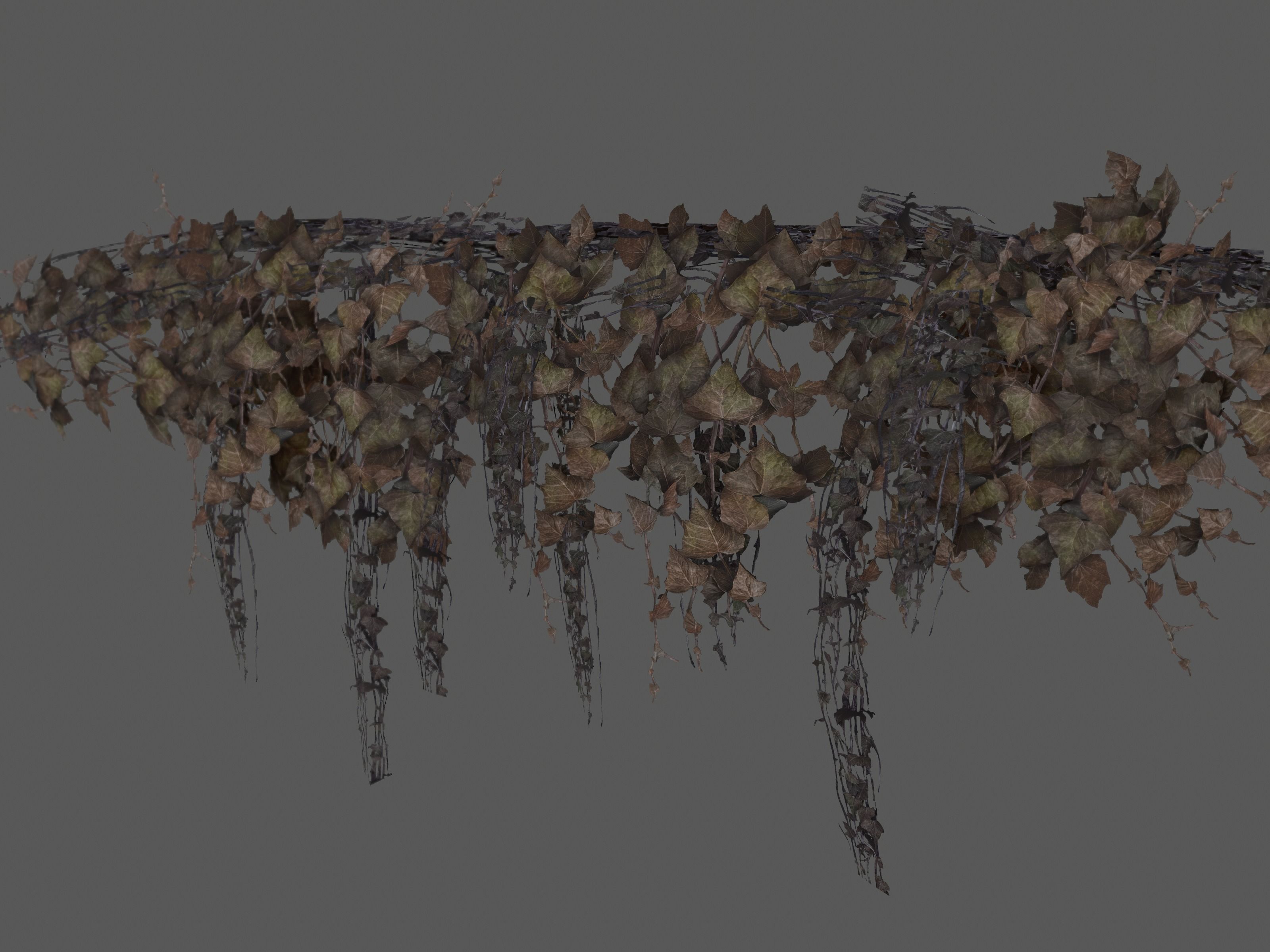 Nature Assets - Ivy Collection - Game Ready Low-poly 3D model_15