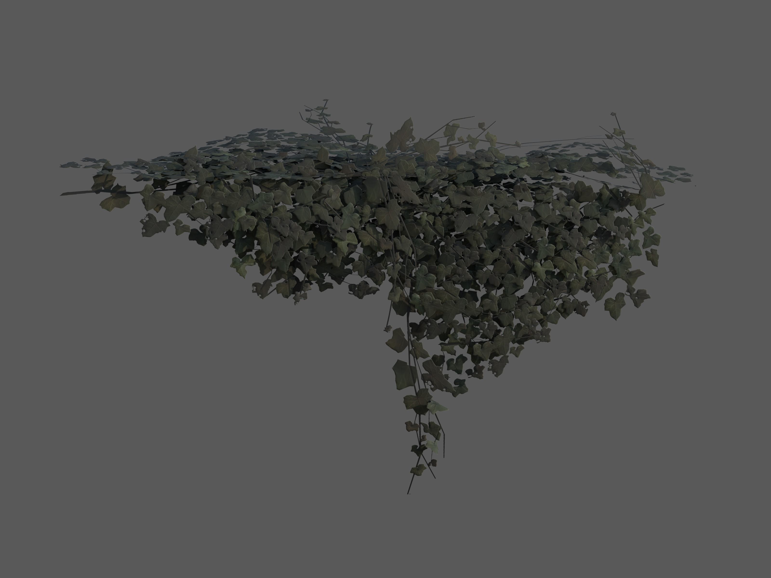 Nature Assets - Ivy Collection - Game Ready Low-poly 3D model_20