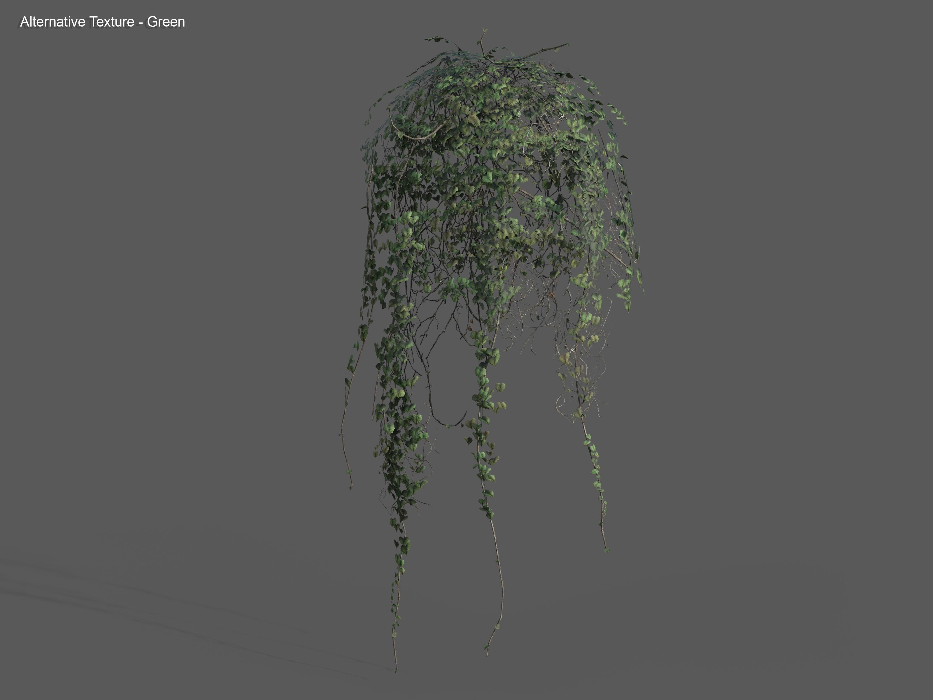 Nature Assets - Ivy Collection - Game Ready Low-poly 3D model_29