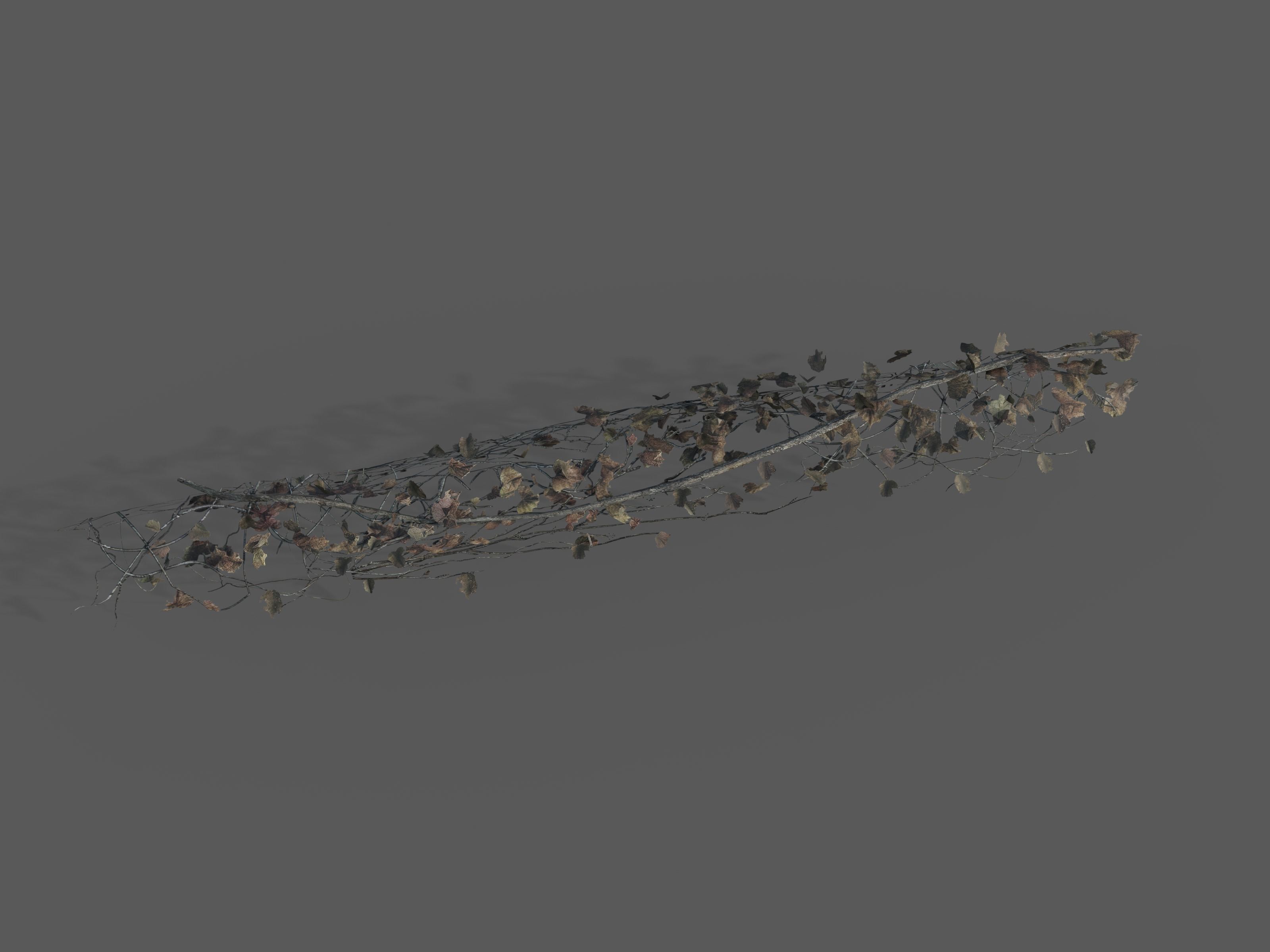 Nature Assets - Ivy Collection - Game Ready Low-poly 3D model_6