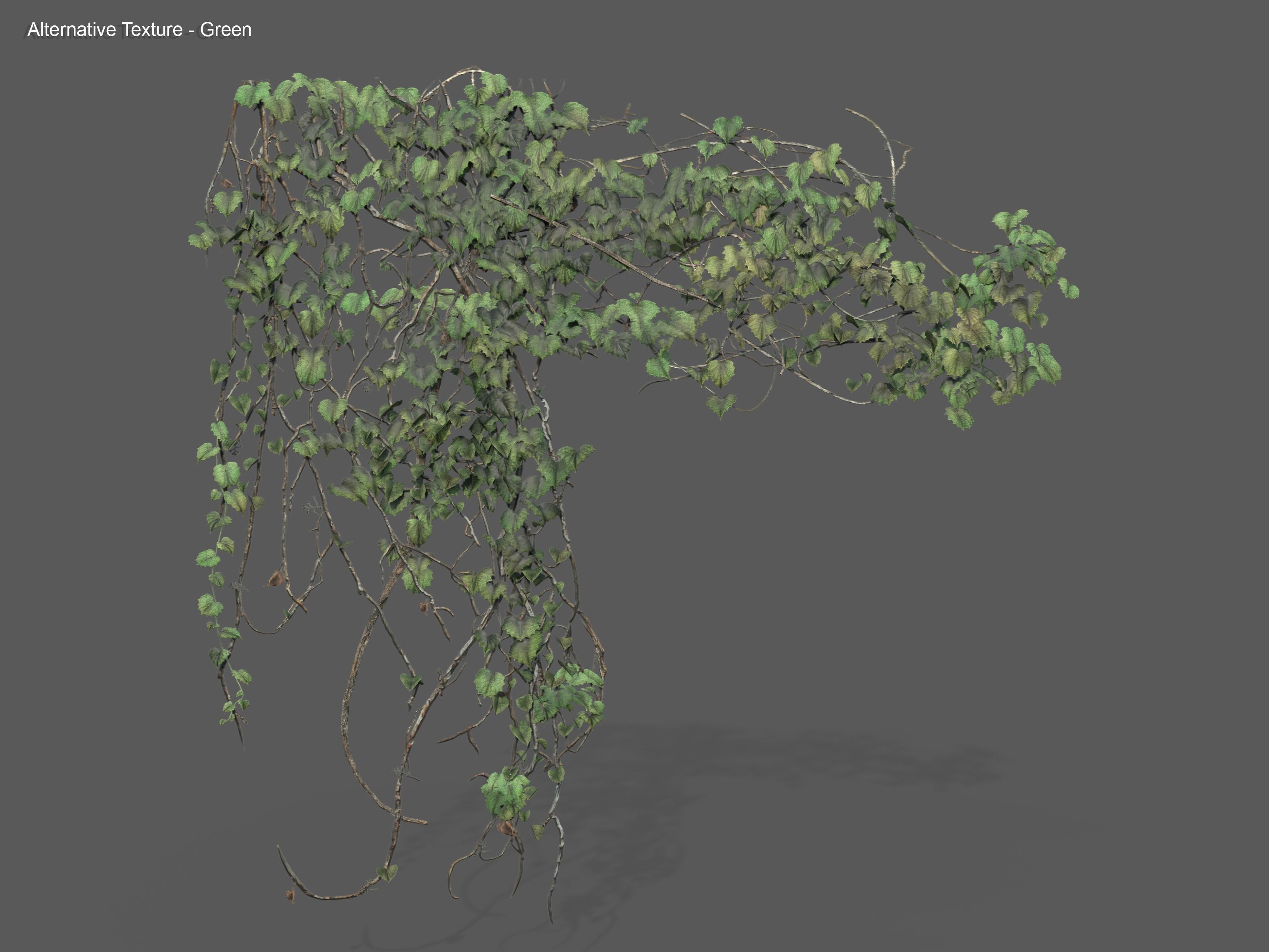 Nature Assets - Ivy Collection - Game Ready Low-poly 3D model_25