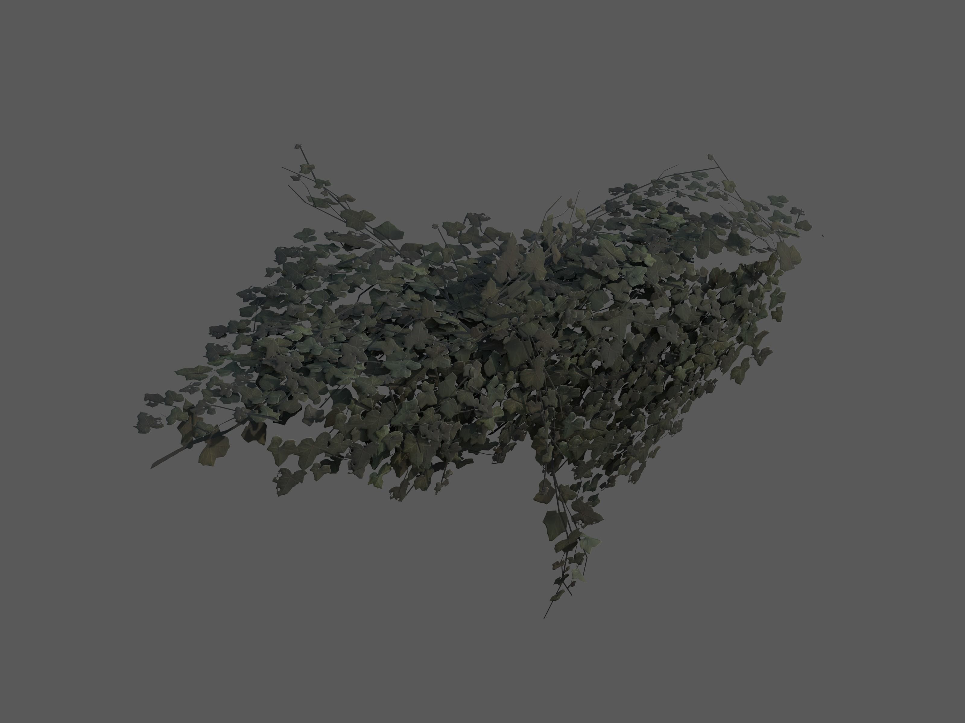 Nature Assets - Ivy Collection - Game Ready Low-poly 3D model_21