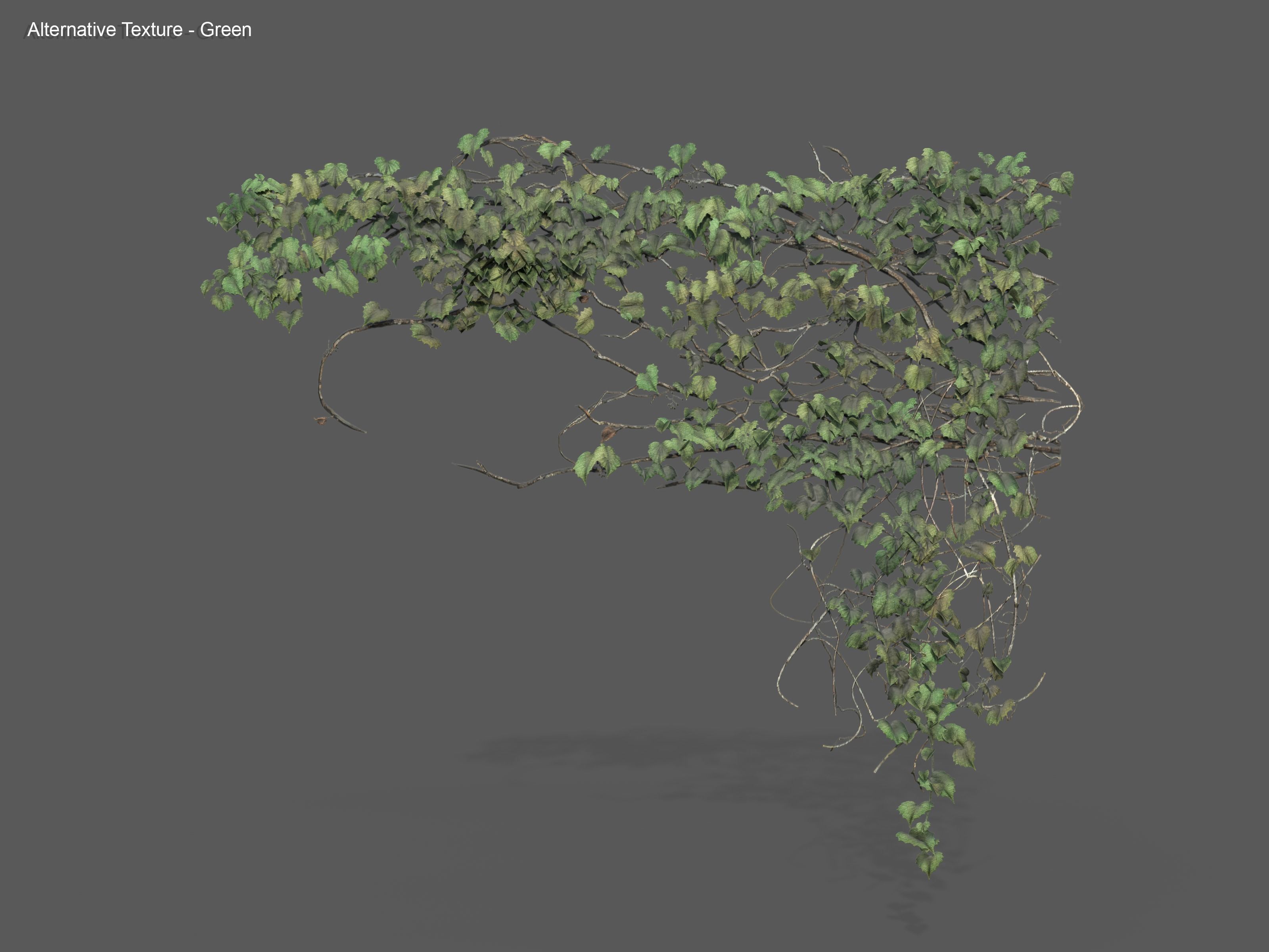 Nature Assets - Ivy Collection - Game Ready Low-poly 3D model_26