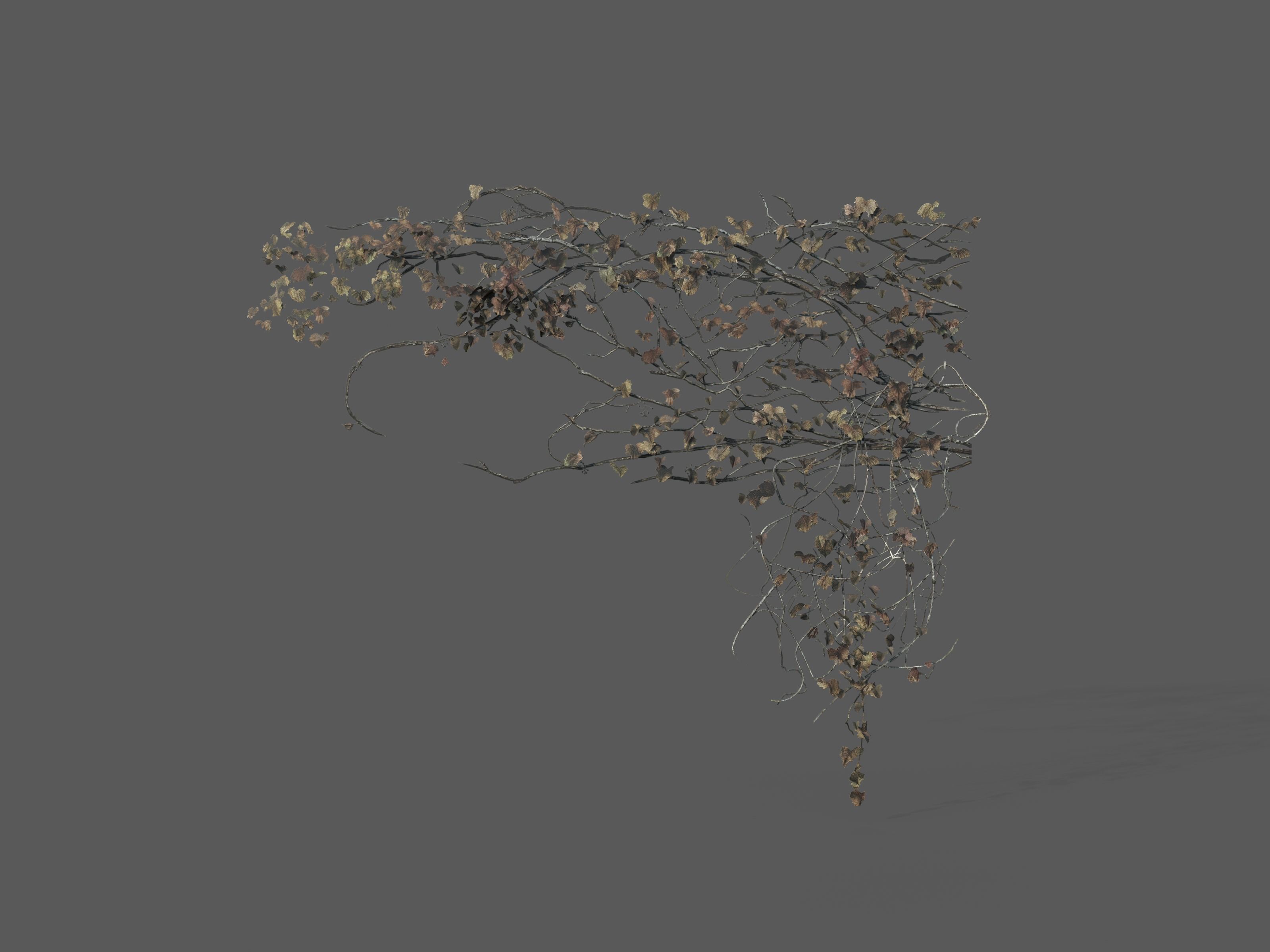 Nature Assets - Ivy Collection - Game Ready Low-poly 3D model_9
