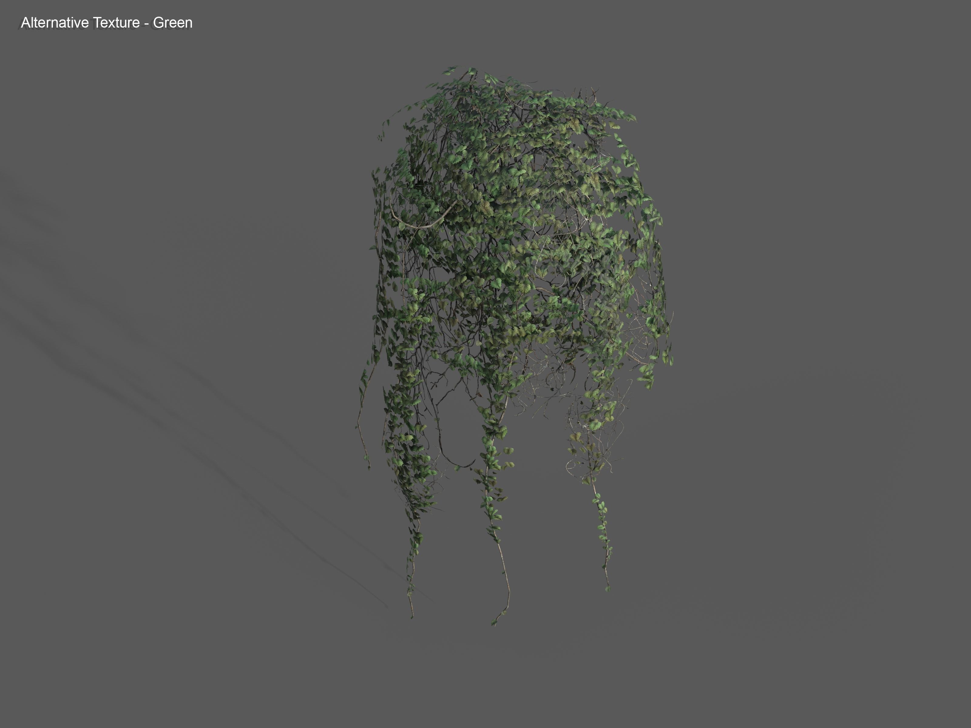 Nature Assets - Ivy Collection - Game Ready Low-poly 3D model_28