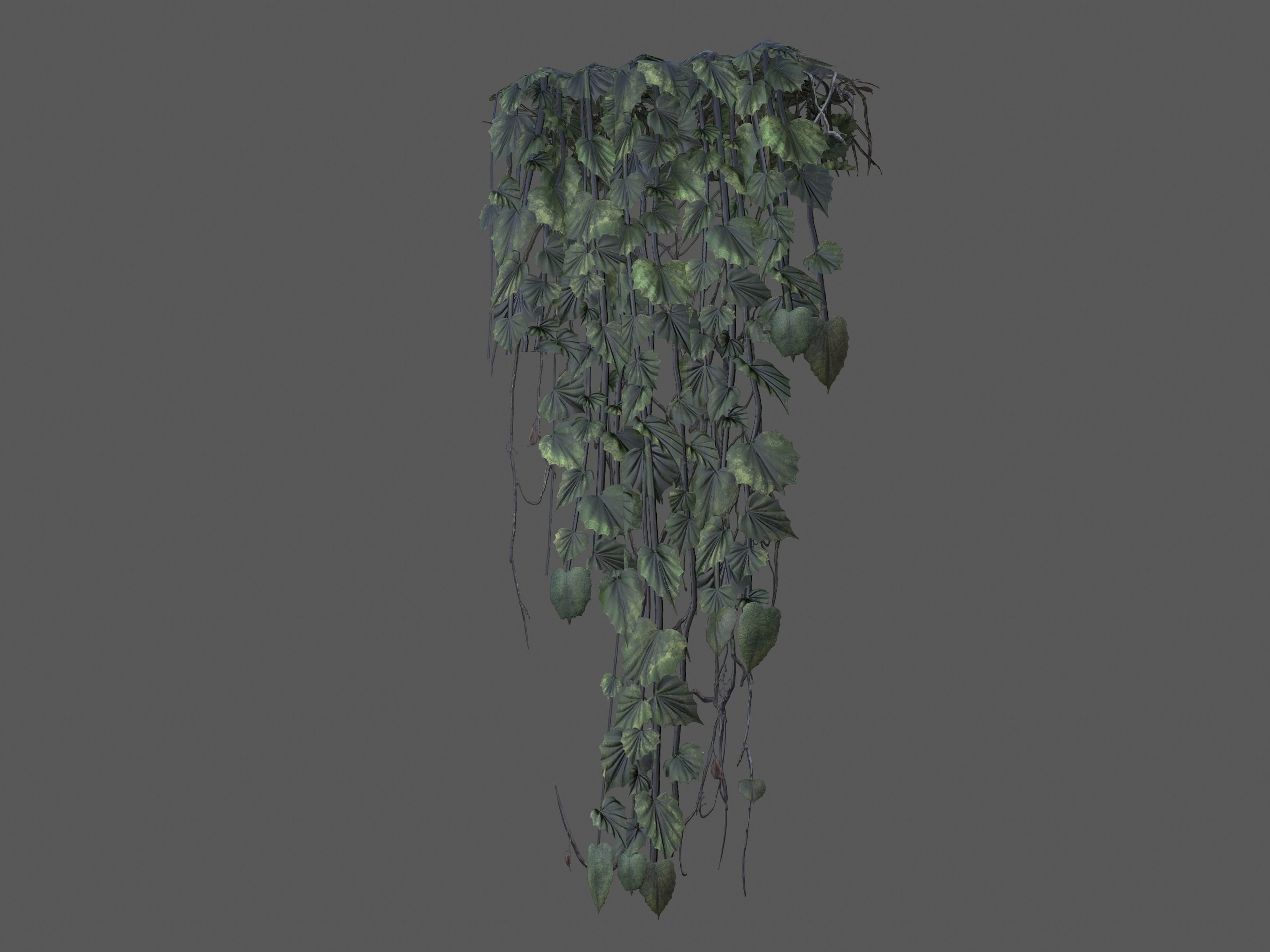 Nature Assets - Ivy Collection - Game Ready Low-poly 3D model_11