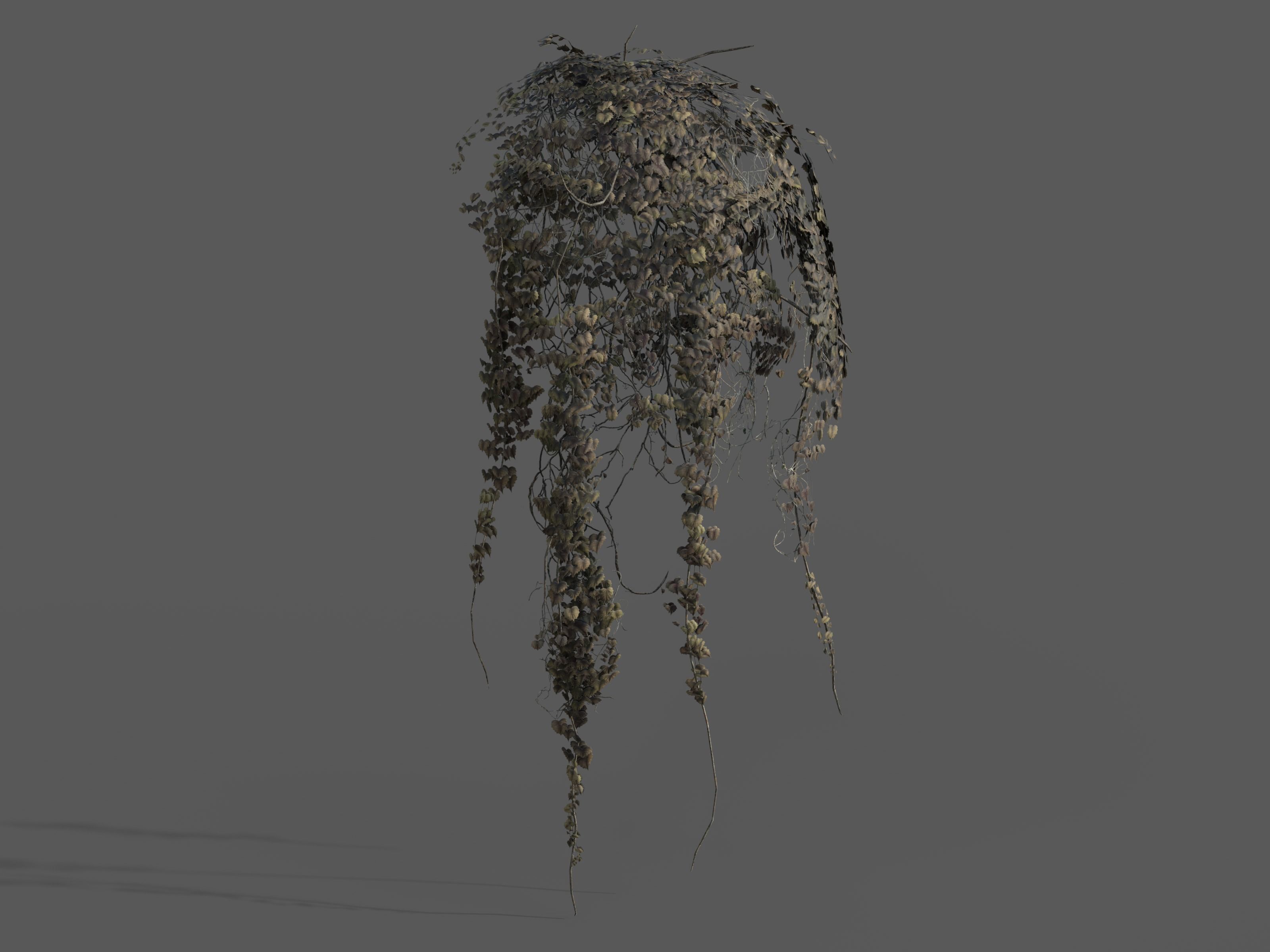 Nature Assets - Ivy Collection - Game Ready Low-poly 3D model_17