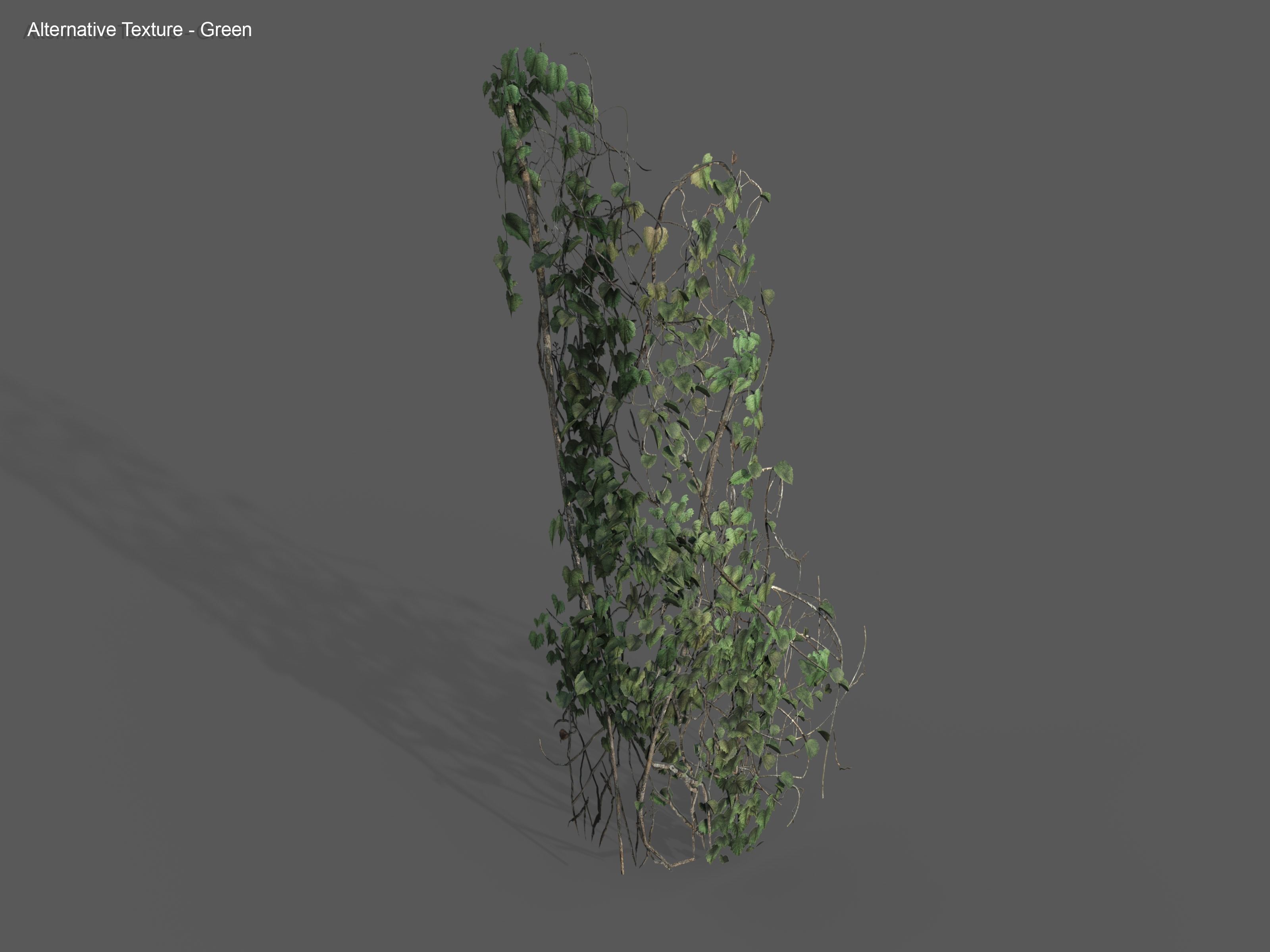 Nature Assets - Ivy Collection - Game Ready Low-poly 3D model_24