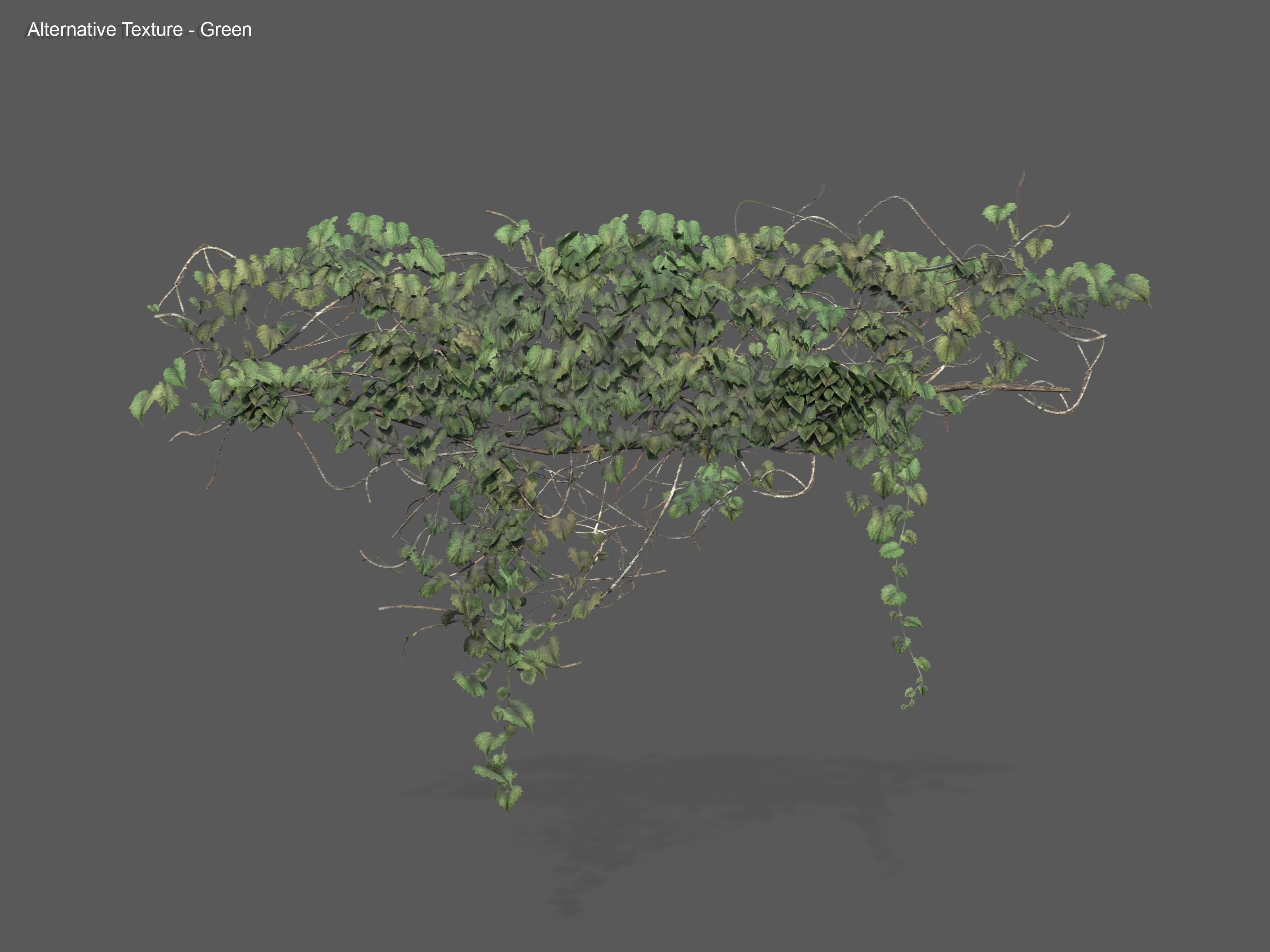 Nature Assets - Ivy Collection - Game Ready Low-poly 3D model_27