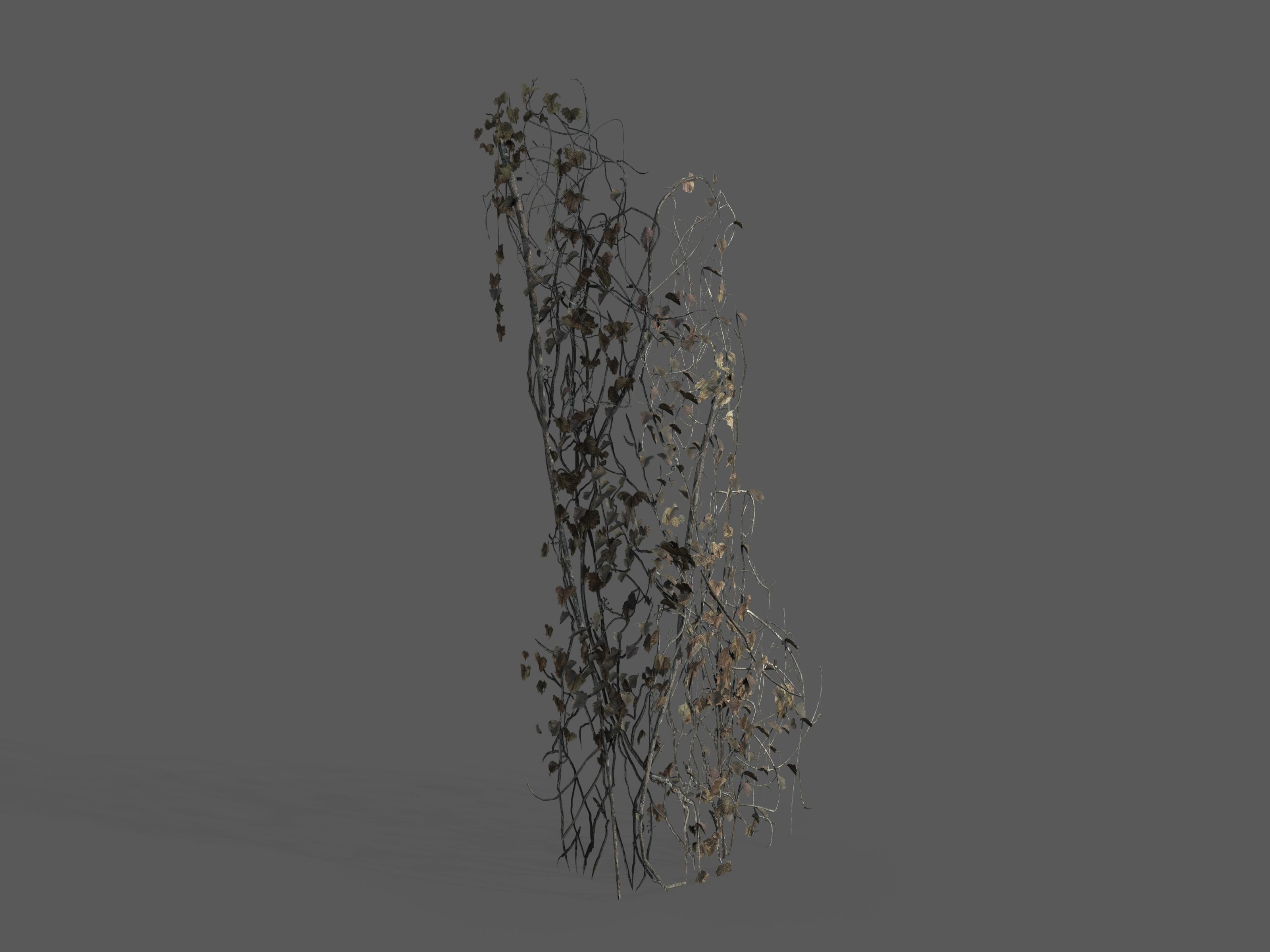 Nature Assets - Ivy Collection - Game Ready Low-poly 3D model_4