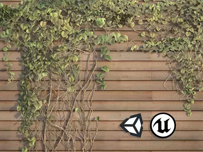 Nature Assets - Ivy Collection - Game Ready Low-poly 3D model