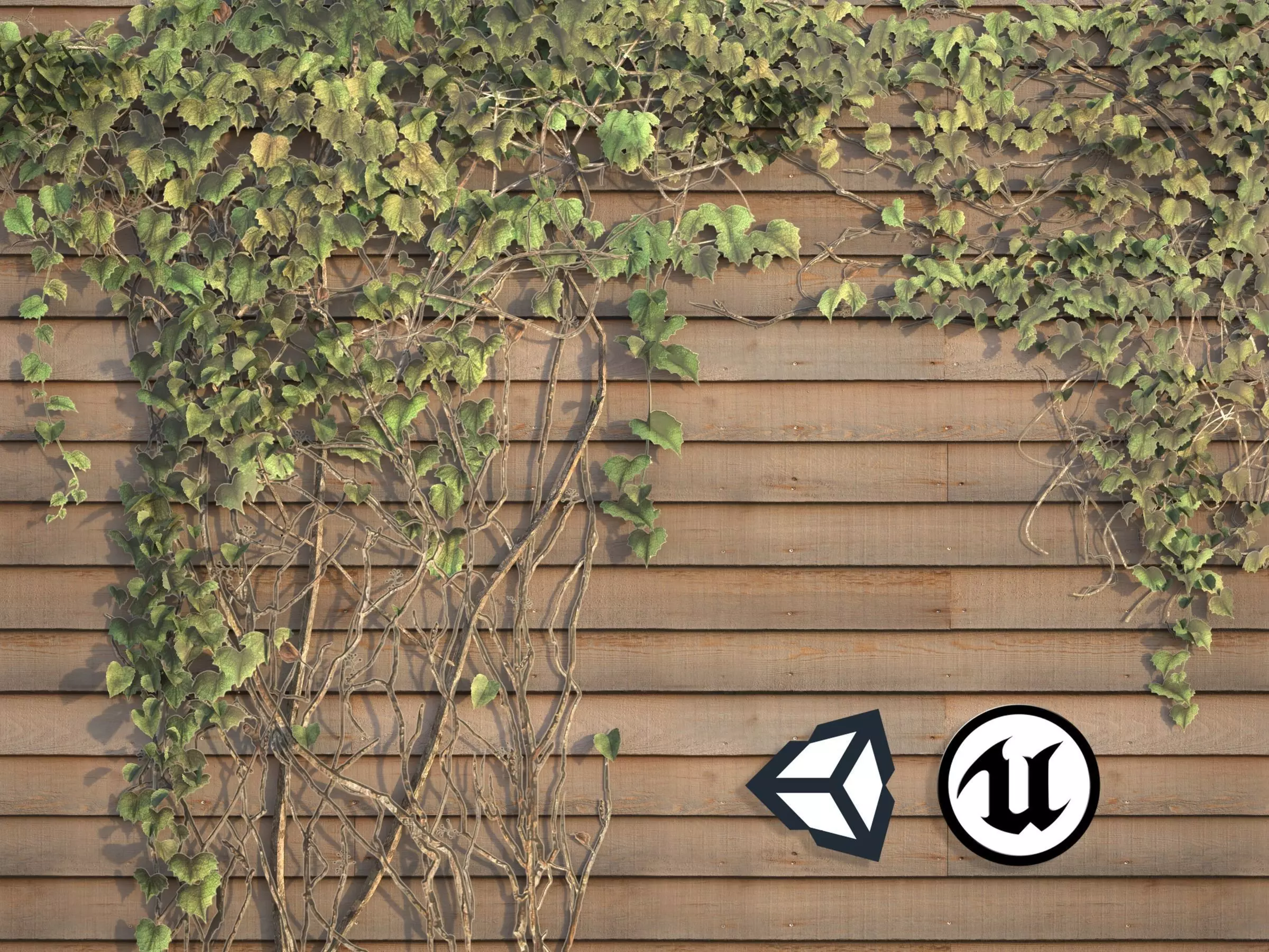 Nature Assets - Ivy Collection - Game Ready Low-poly 3D model_0