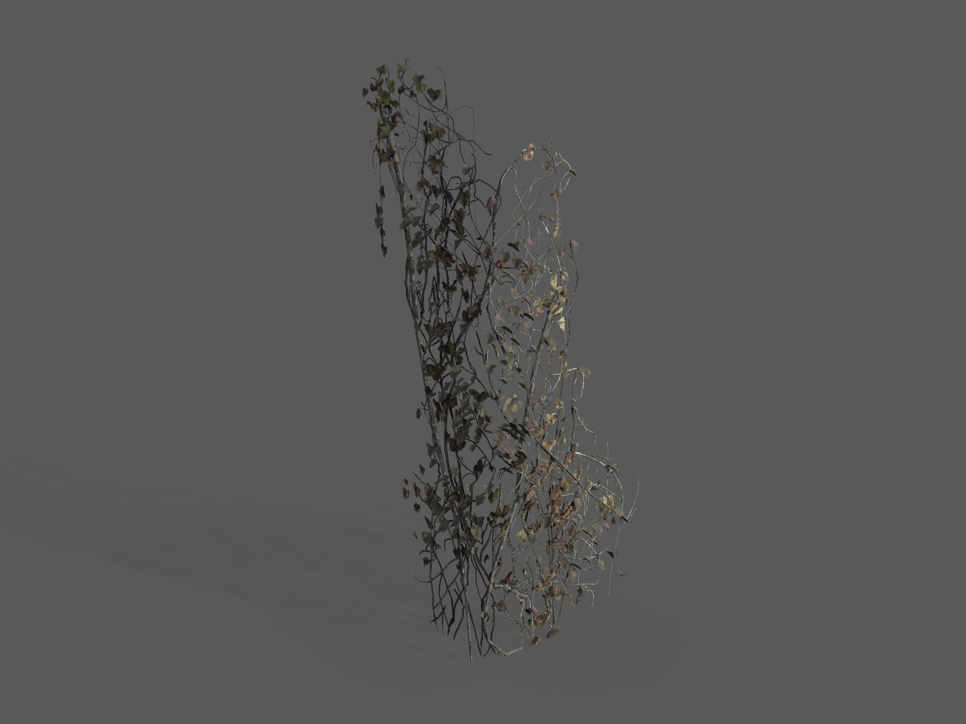 Nature Assets - Ivy Collection - Game Ready Low-poly 3D model_3