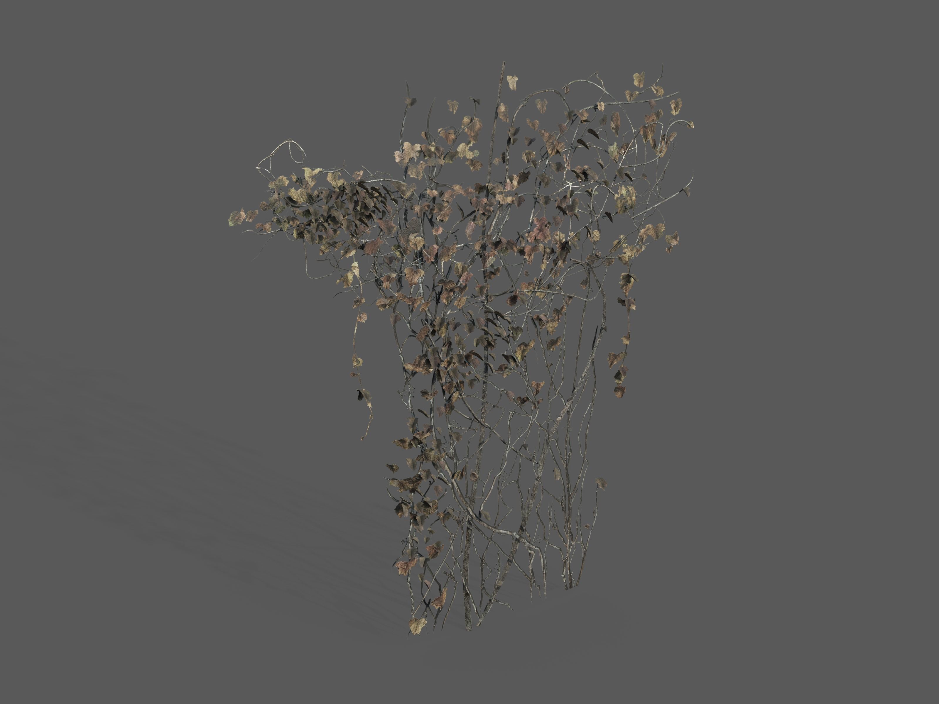Nature Assets - Ivy Collection - Game Ready Low-poly 3D model_2