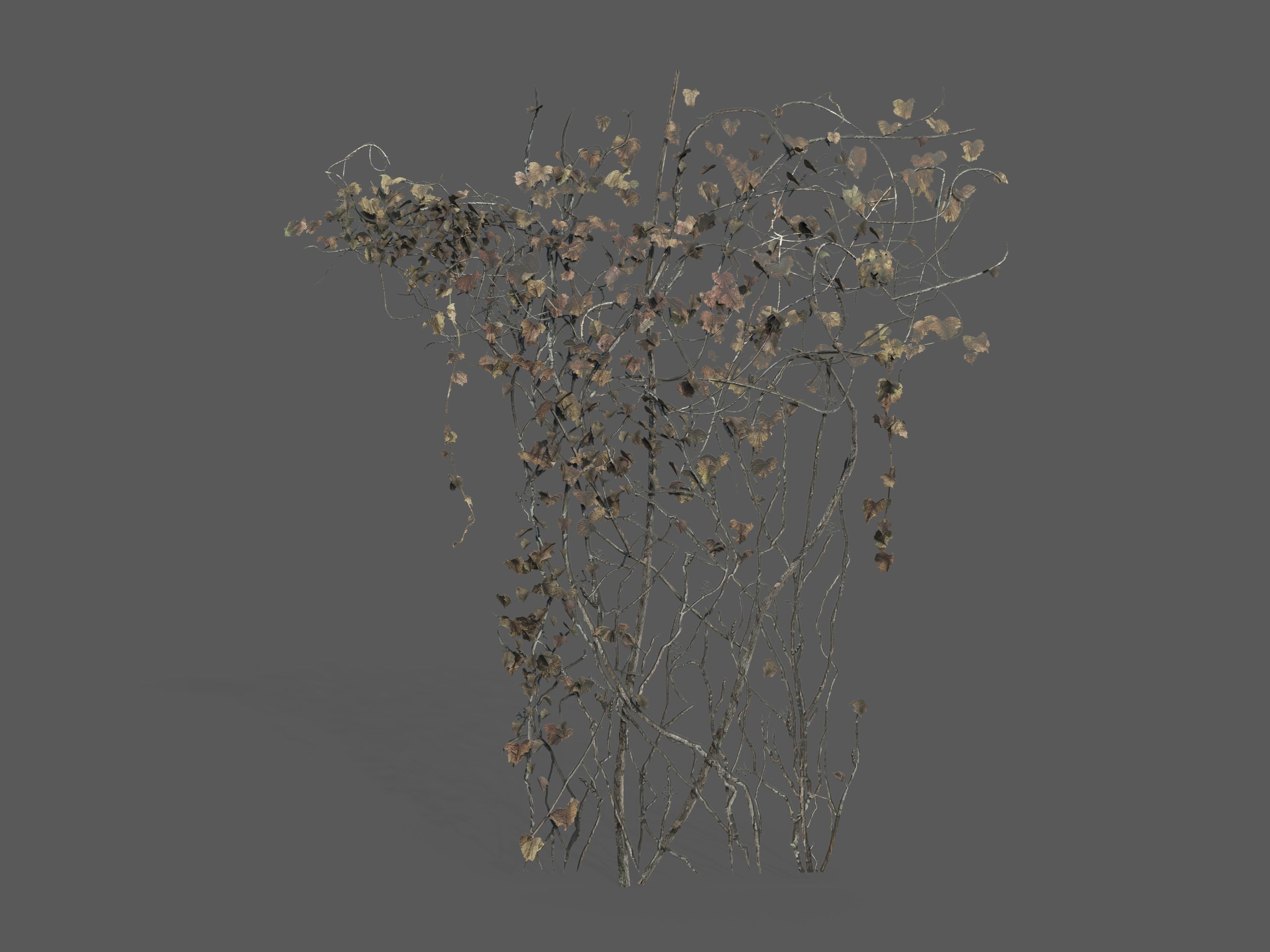 Nature Assets - Ivy Collection - Game Ready Low-poly 3D model_1