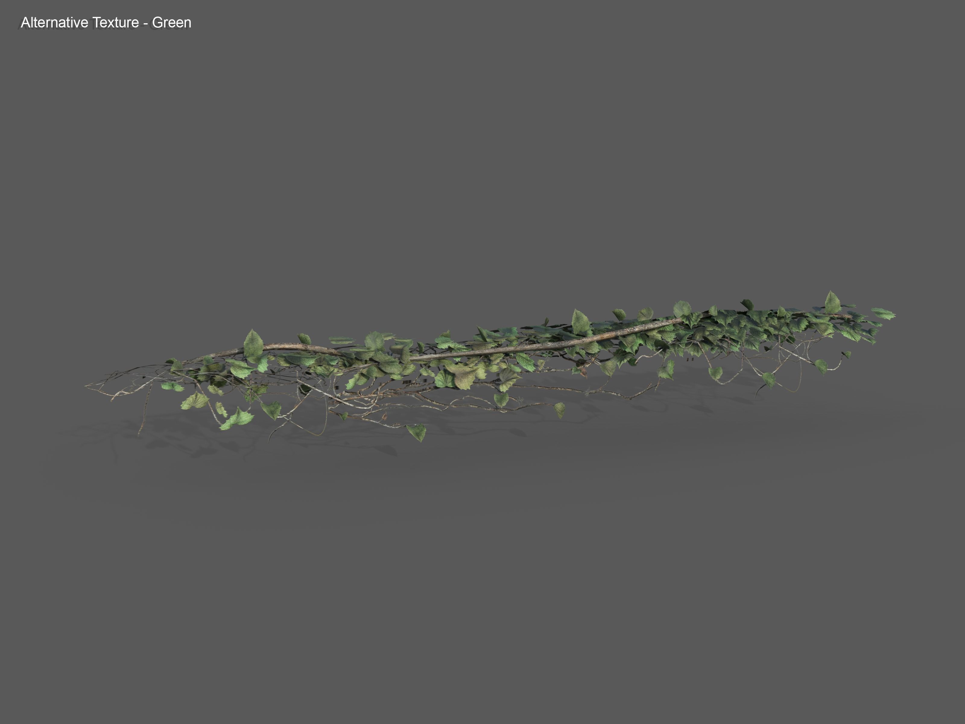 Nature Assets - Ivy Collection - Game Ready Low-poly 3D model_22
