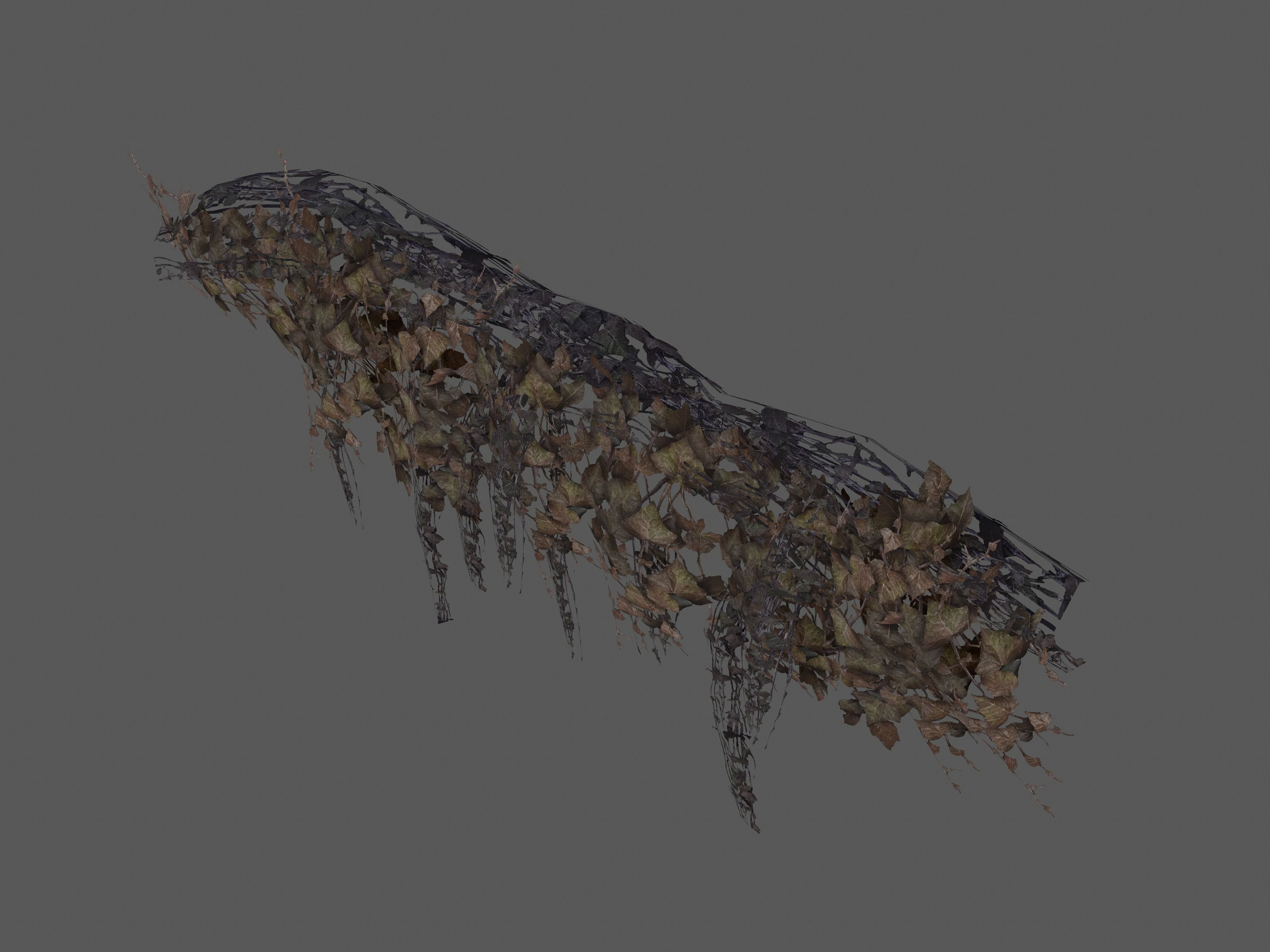 Nature Assets - Ivy Collection - Game Ready Low-poly 3D model_14