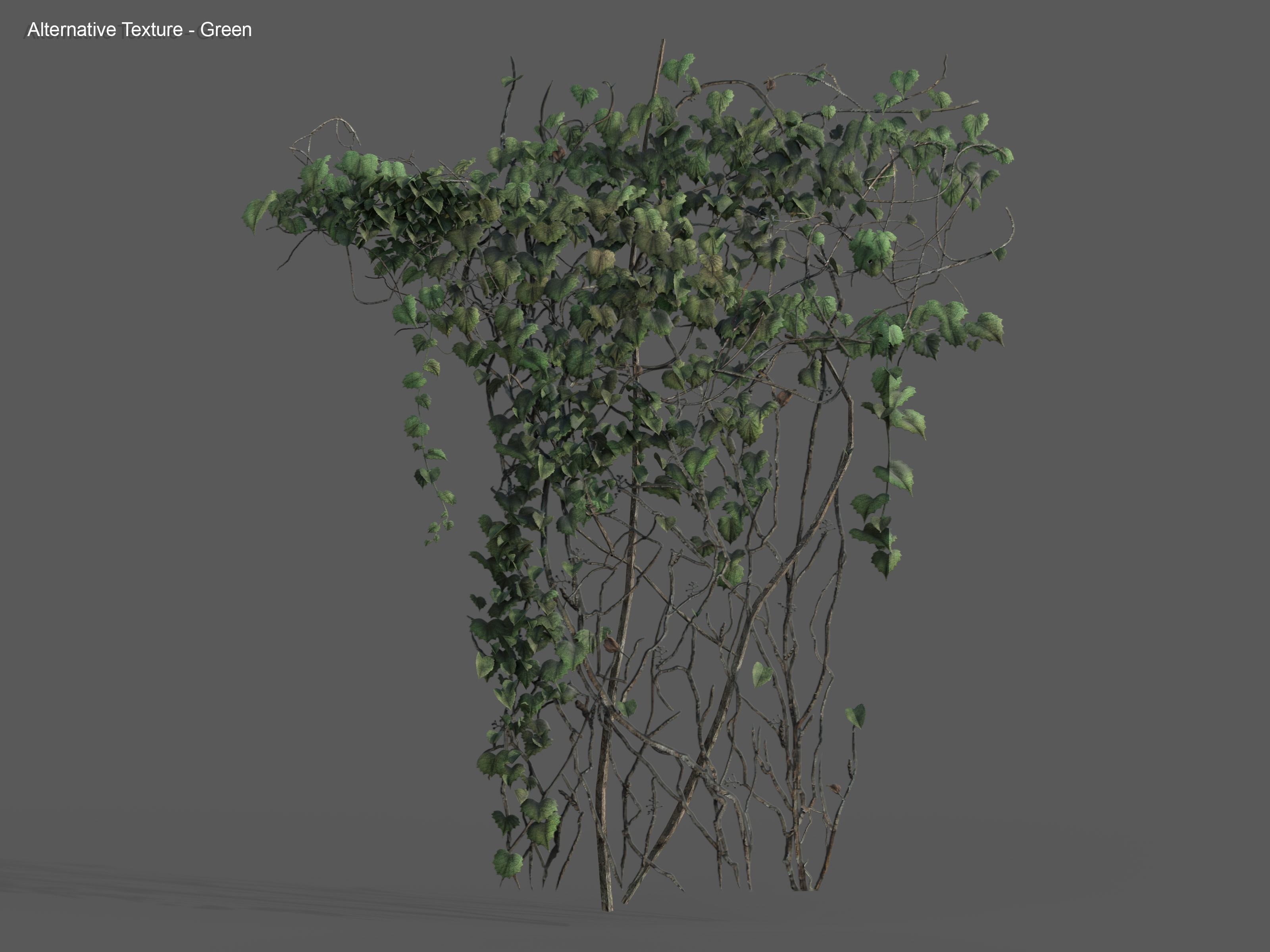 Nature Assets - Ivy Collection - Game Ready Low-poly 3D model_23