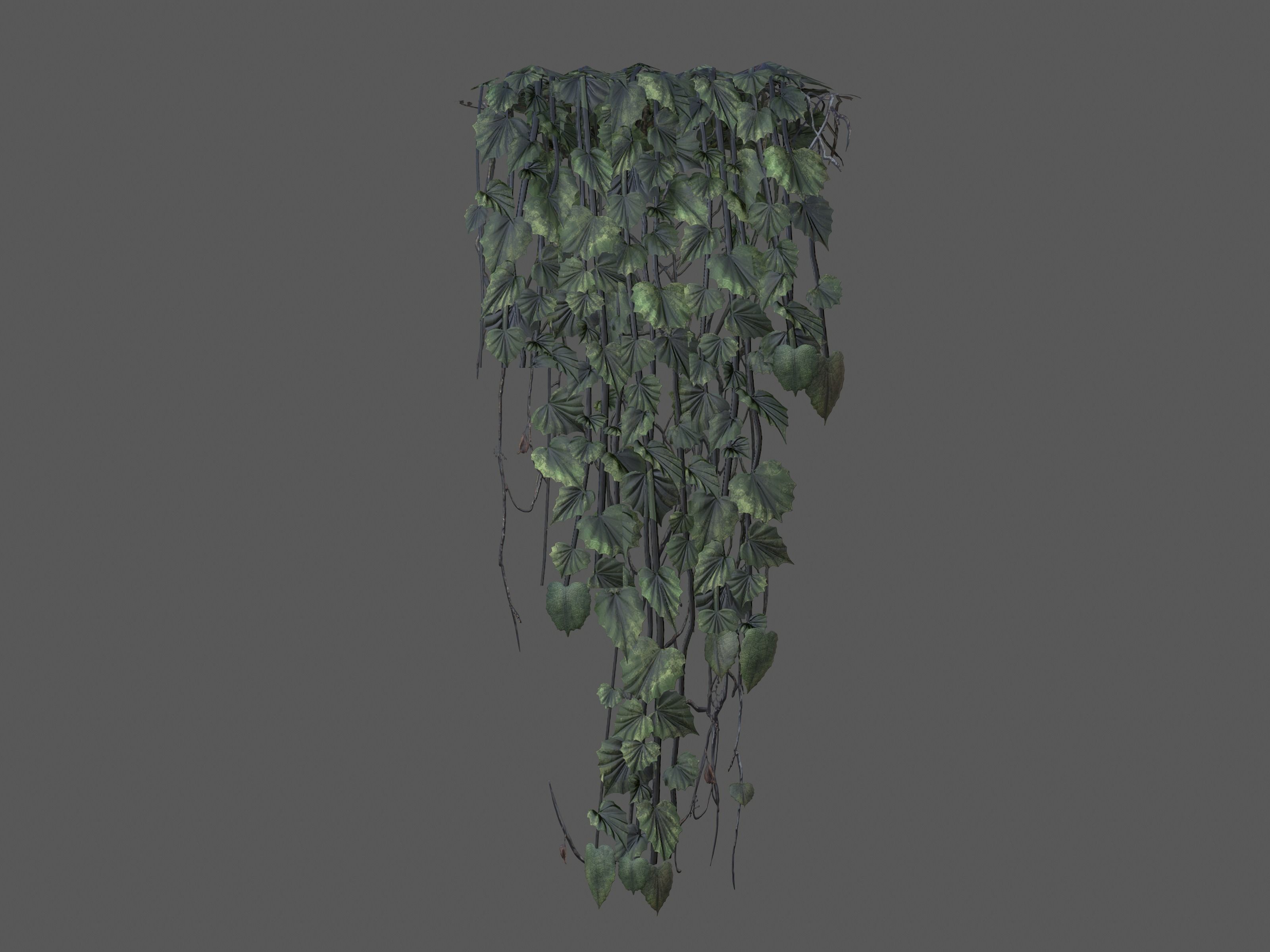 Nature Assets - Ivy Collection - Game Ready Low-poly 3D model_10