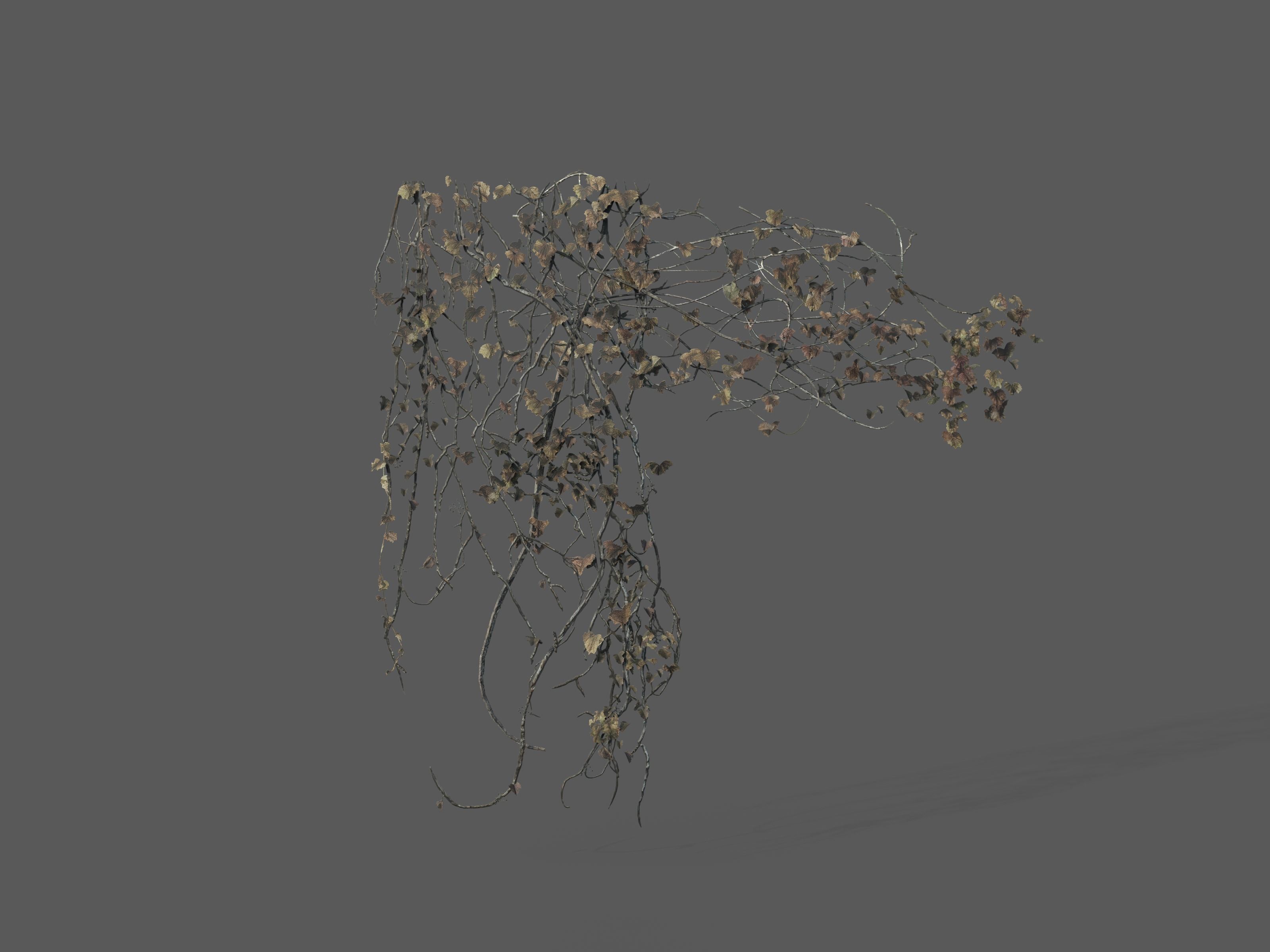 Nature Assets - Ivy Collection - Game Ready Low-poly 3D model_8