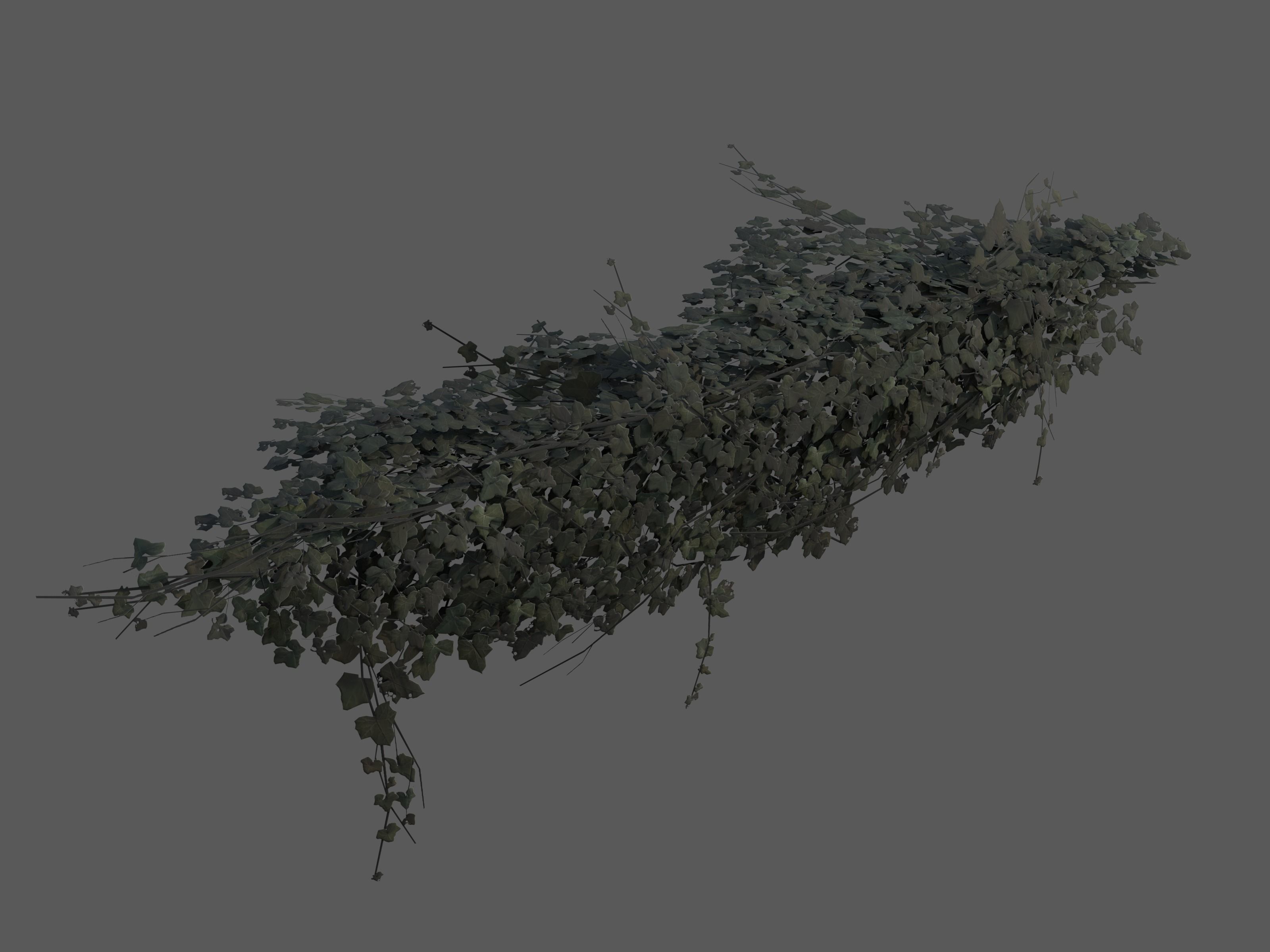 Nature Assets - Ivy Collection - Game Ready Low-poly 3D model_18