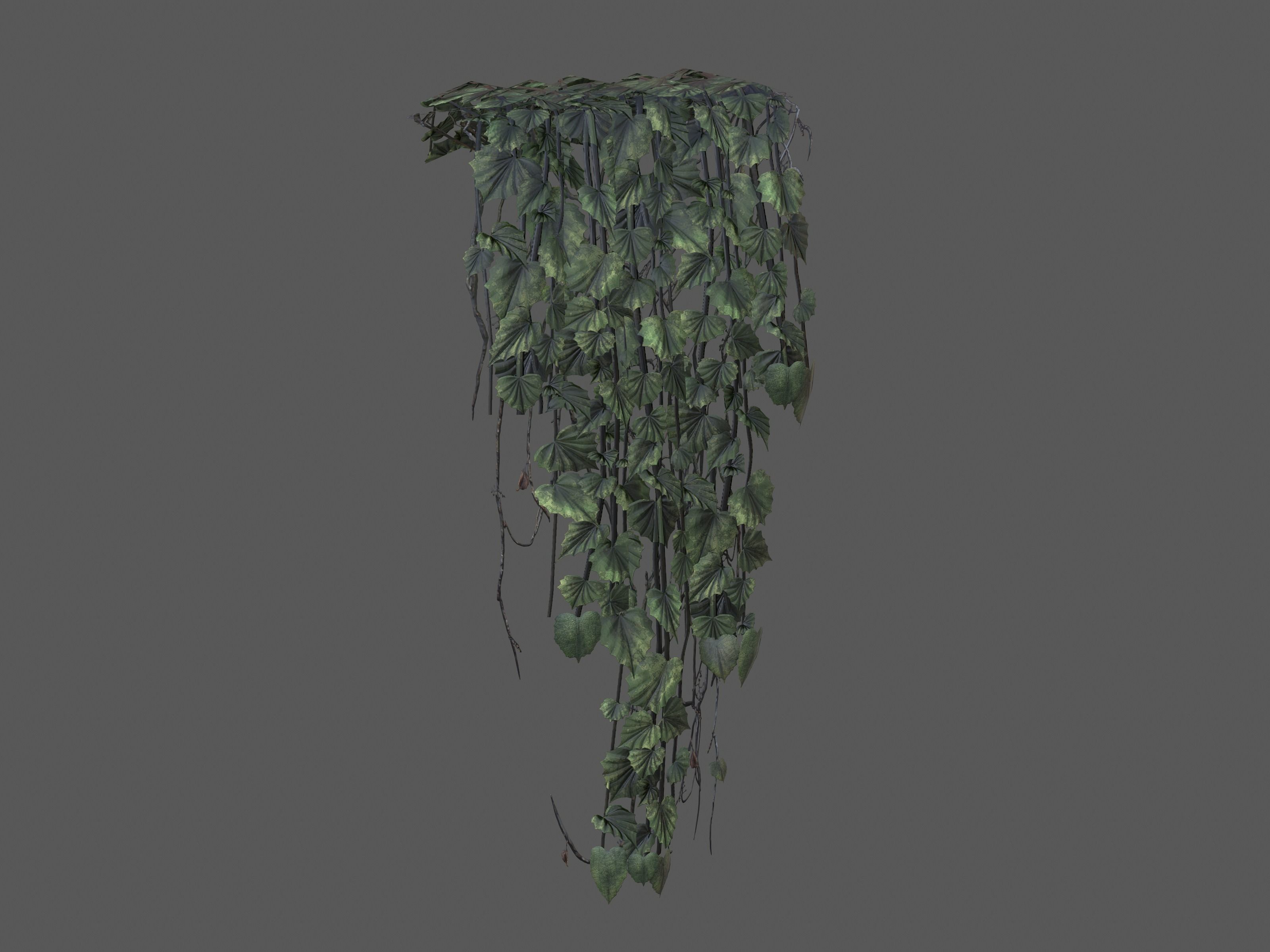 Nature Assets - Ivy Collection - Game Ready Low-poly 3D model_12