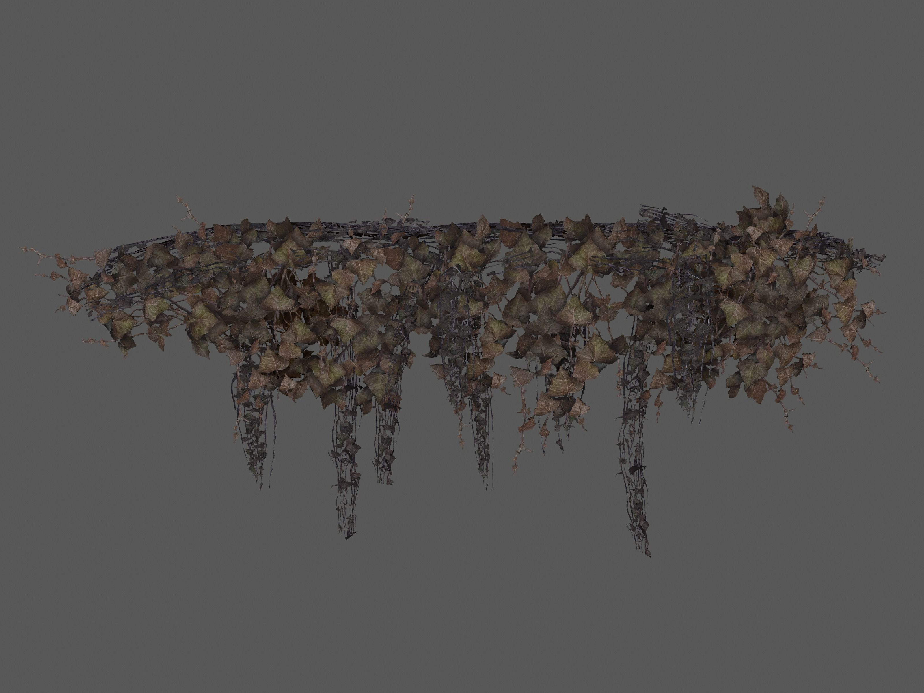 Nature Assets - Ivy Collection - Game Ready Low-poly 3D model_13