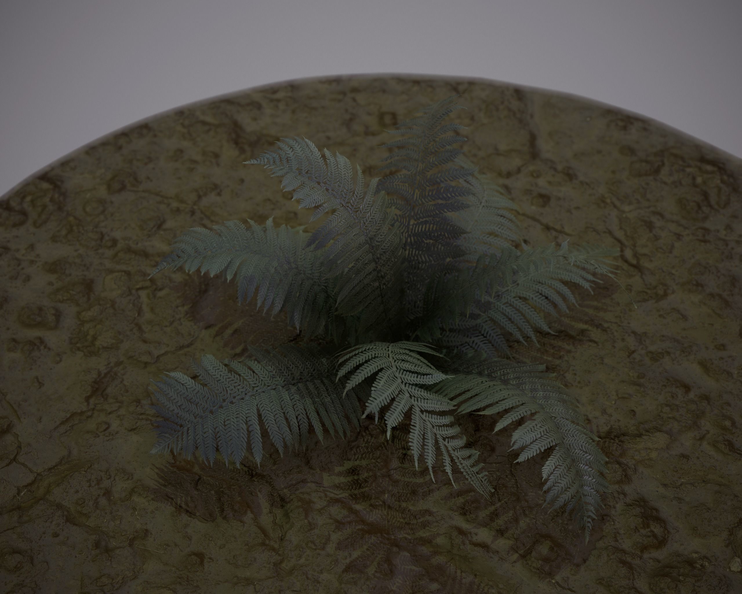 Nature Assets - Fern - Game Ready Low-poly 3D model_3