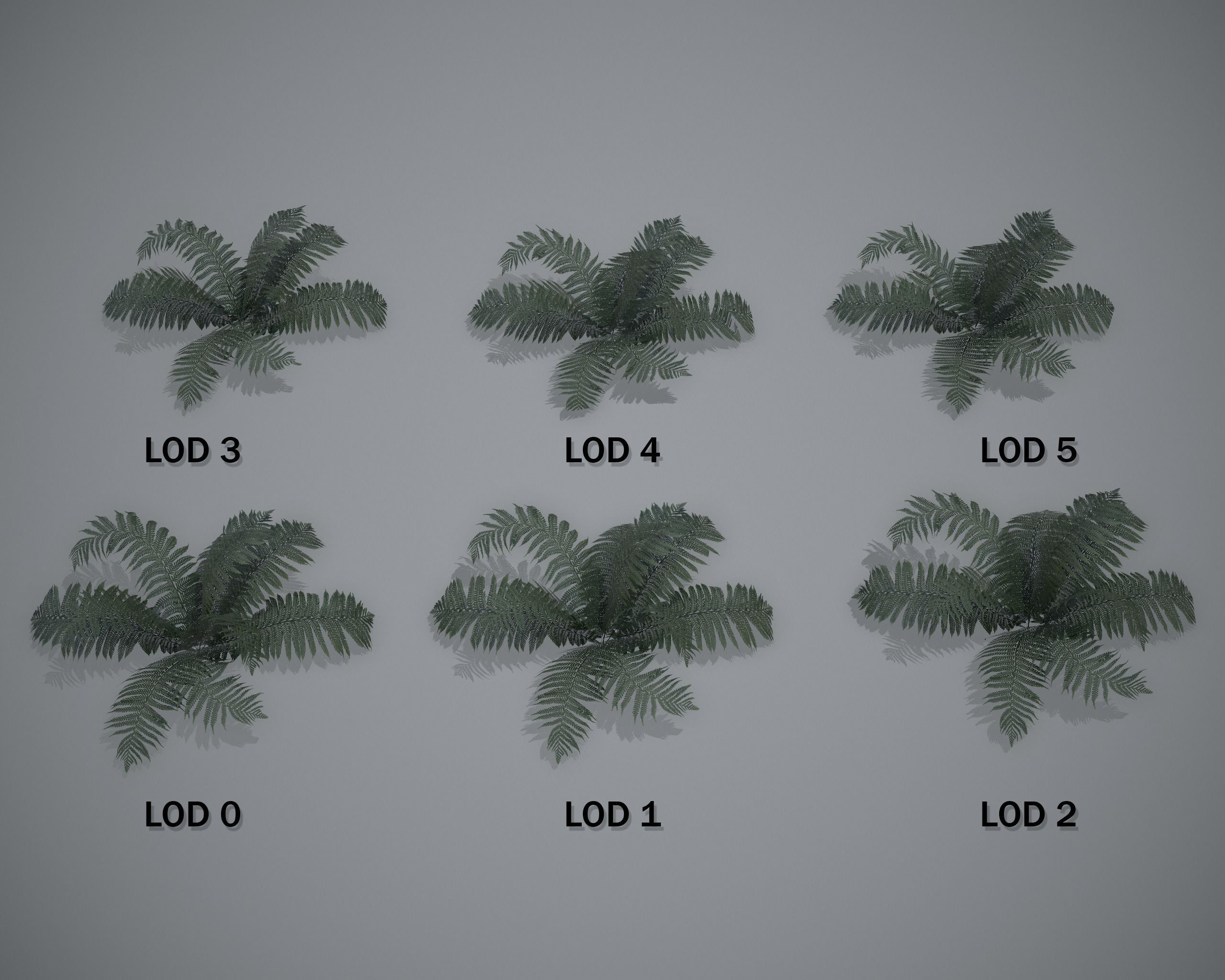 Nature Assets - Fern - Game Ready Low-poly 3D model_8