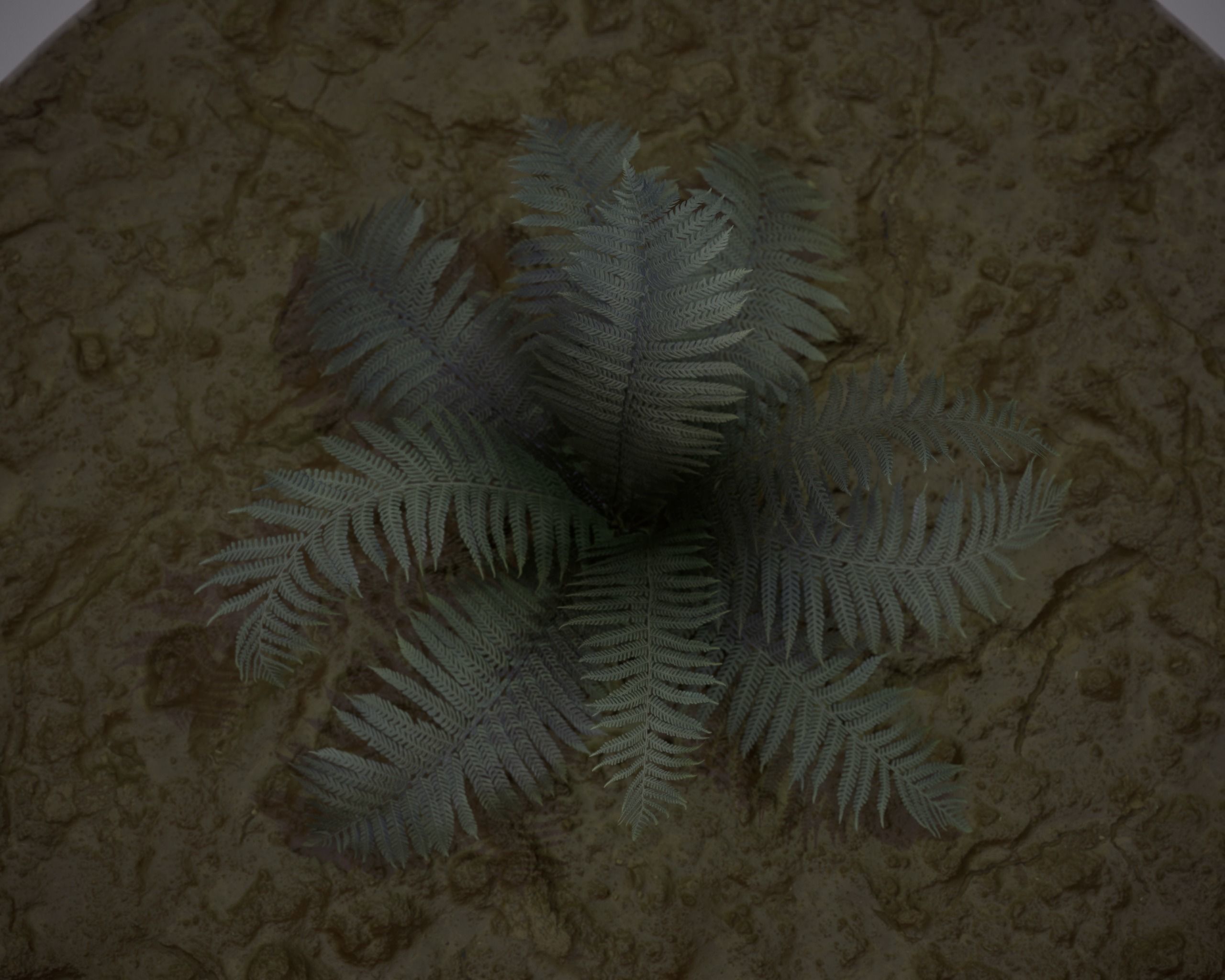 Nature Assets - Fern - Game Ready Low-poly 3D model_5