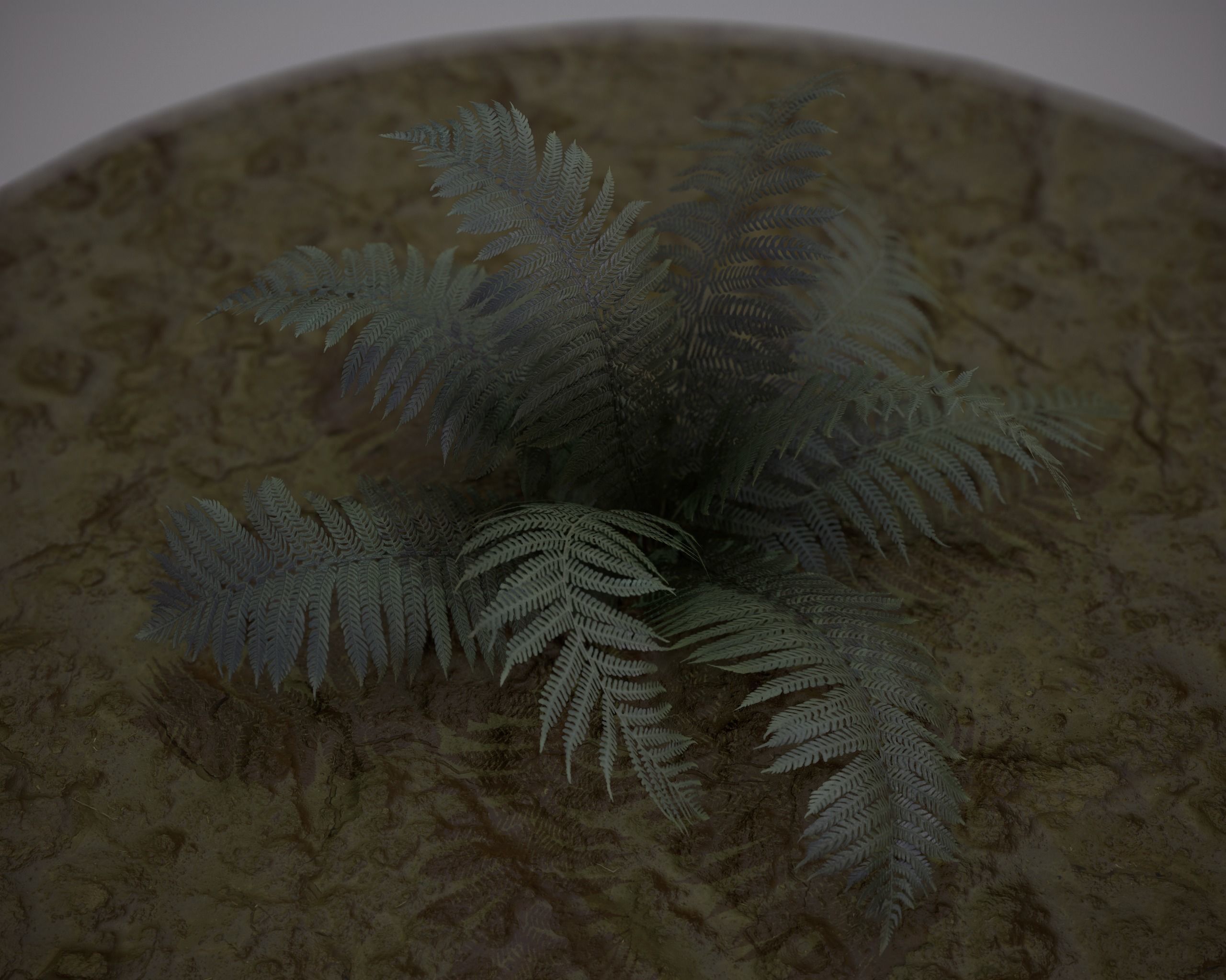 Nature Assets - Fern - Game Ready Low-poly 3D model_2