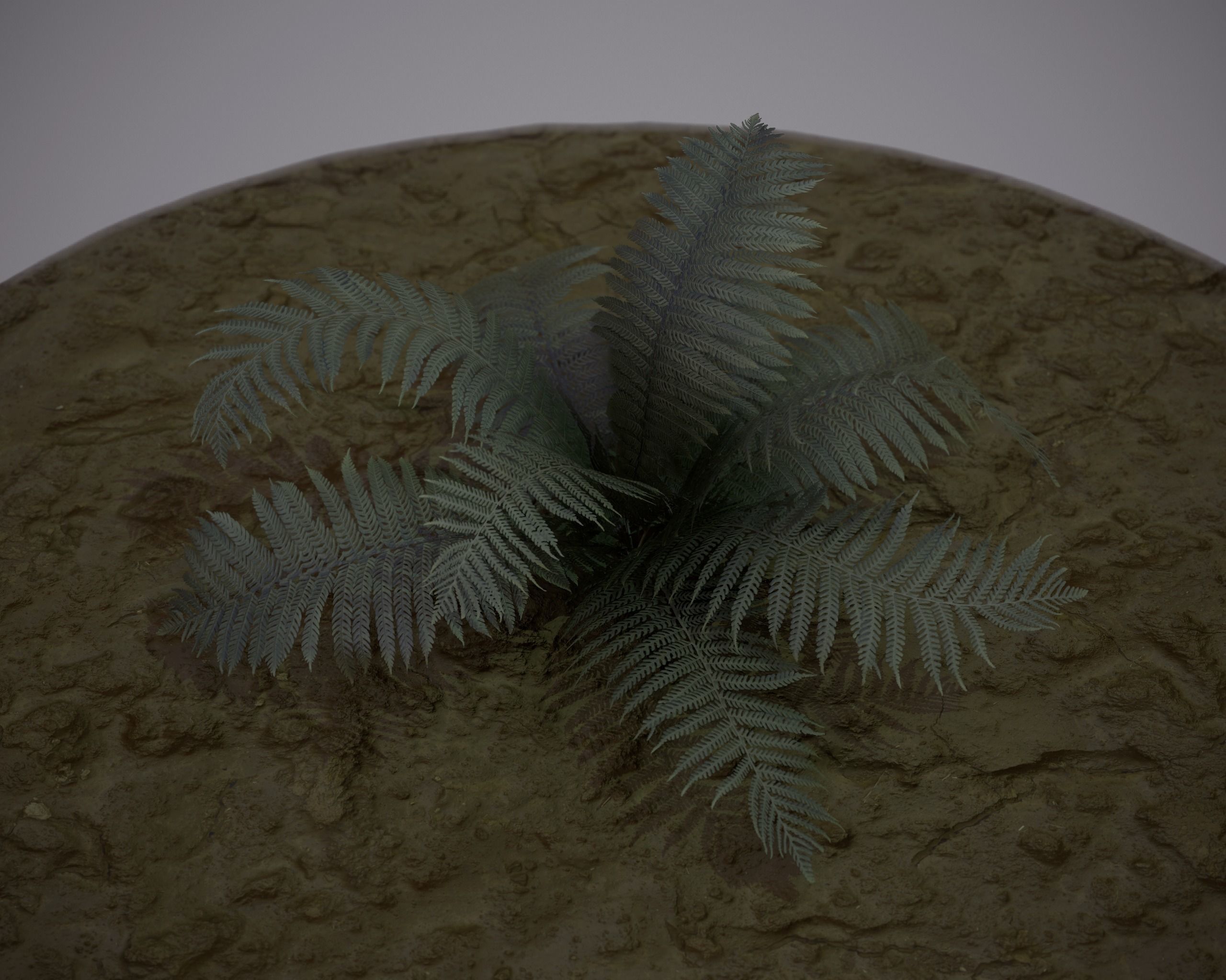 Nature Assets - Fern - Game Ready Low-poly 3D model_1