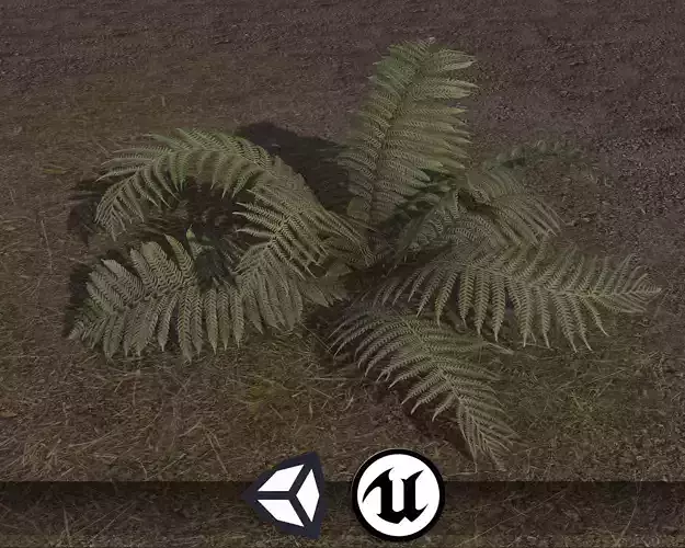 Nature Assets - Fern - Game Ready
