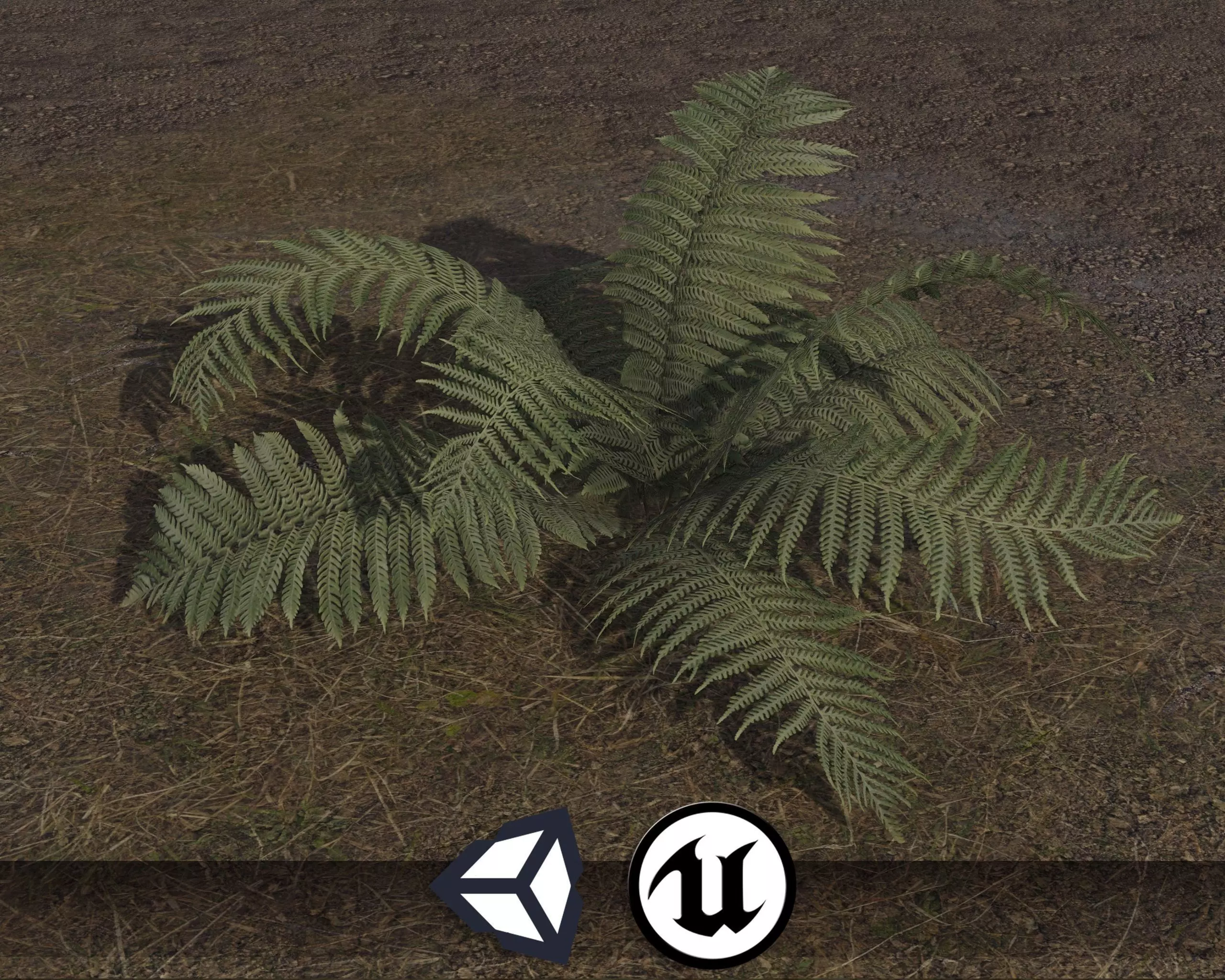 Nature Assets - Fern - Game Ready Low-poly 3D model_0