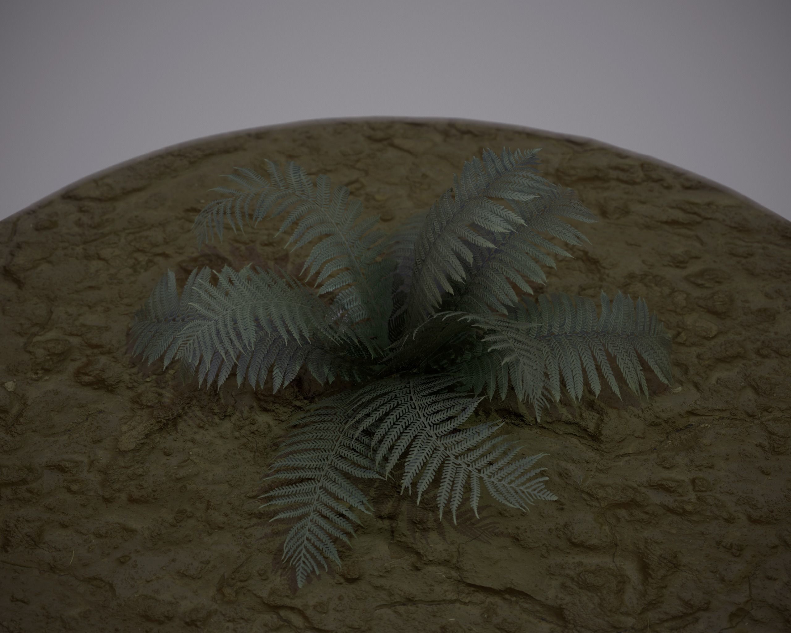 Nature Assets - Fern - Game Ready Low-poly 3D model_6